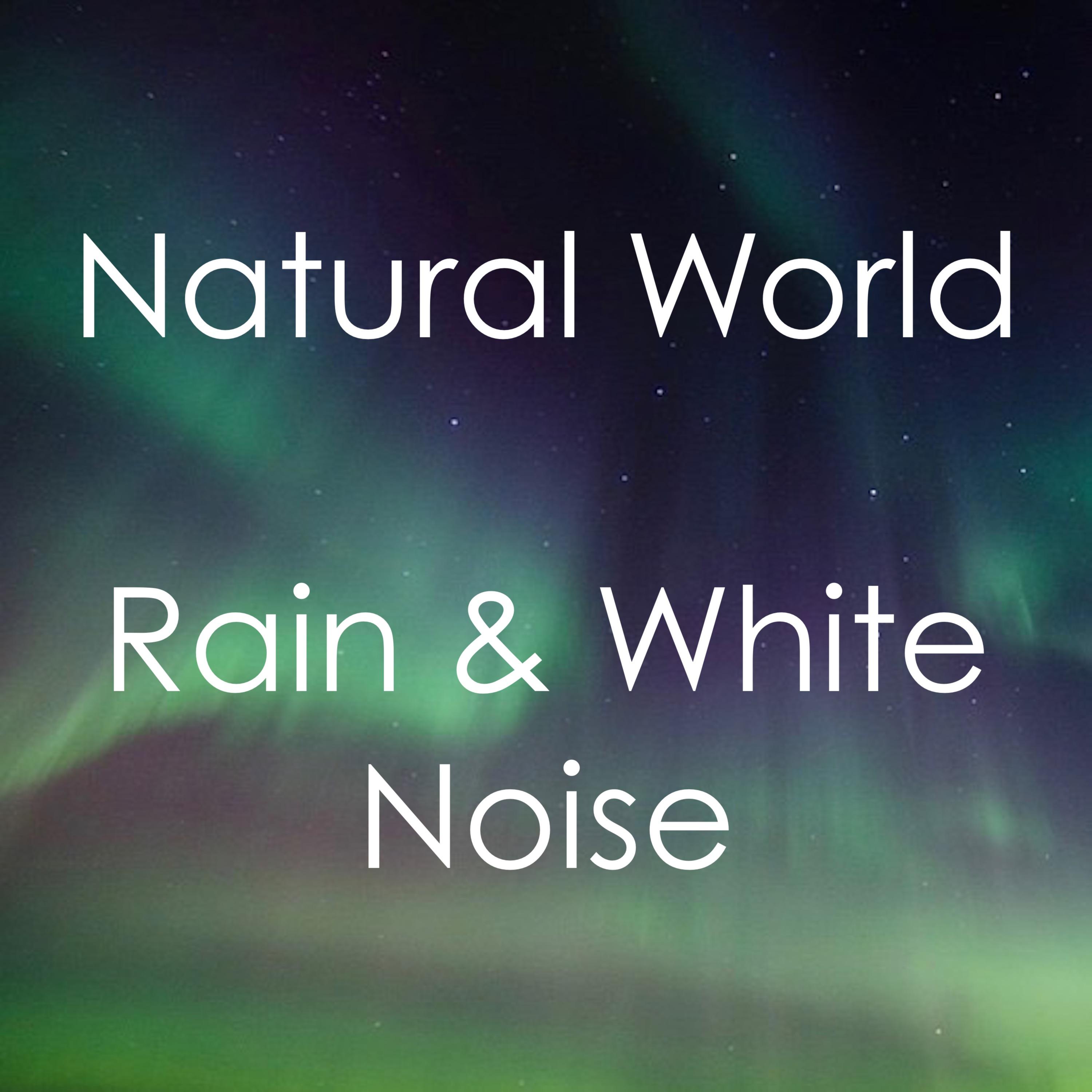 13 Sleep Sounds of Nature: Rain and Gentle Thunder