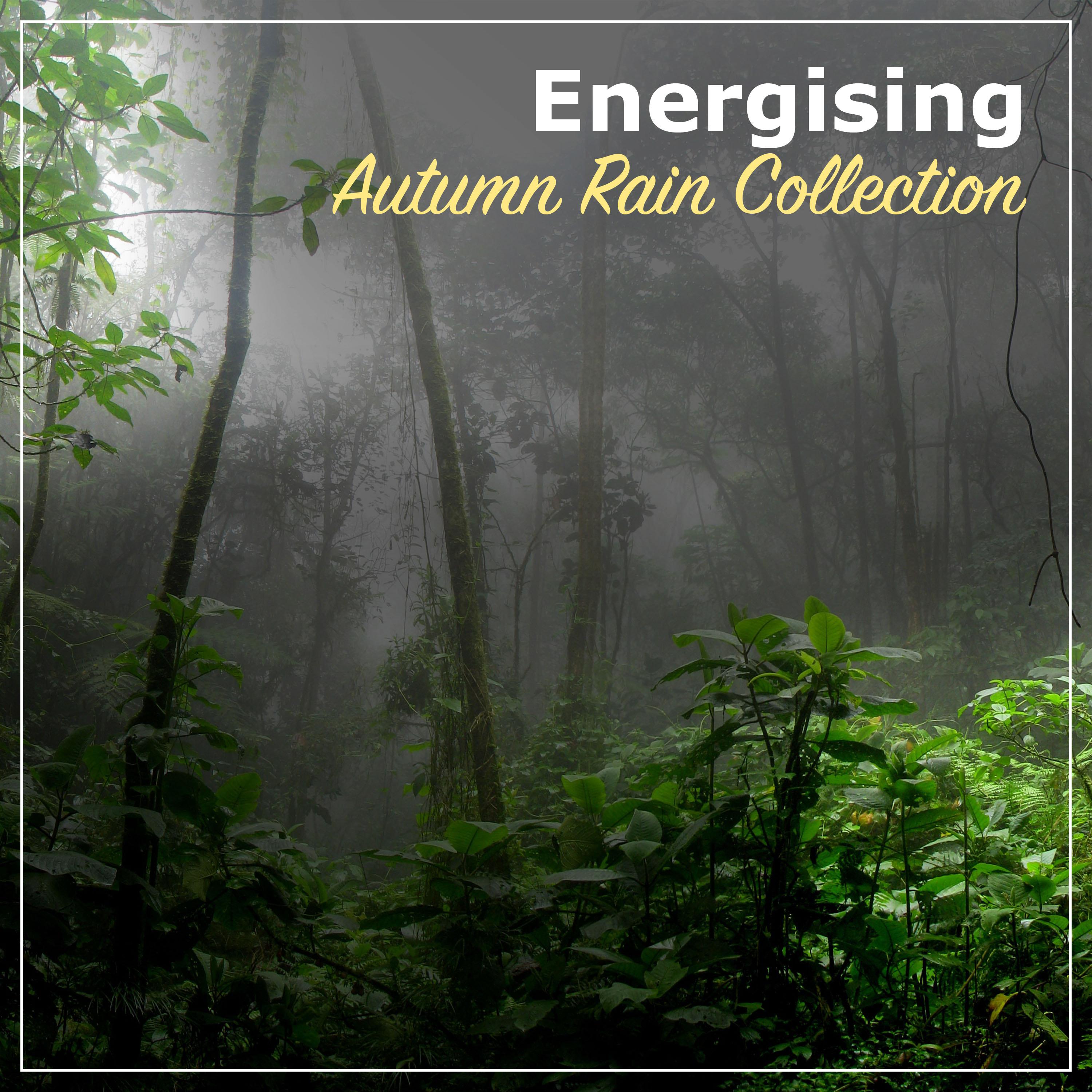 #2018 Energising Autumn Rain Collection for Relaxation & Deep Sleep