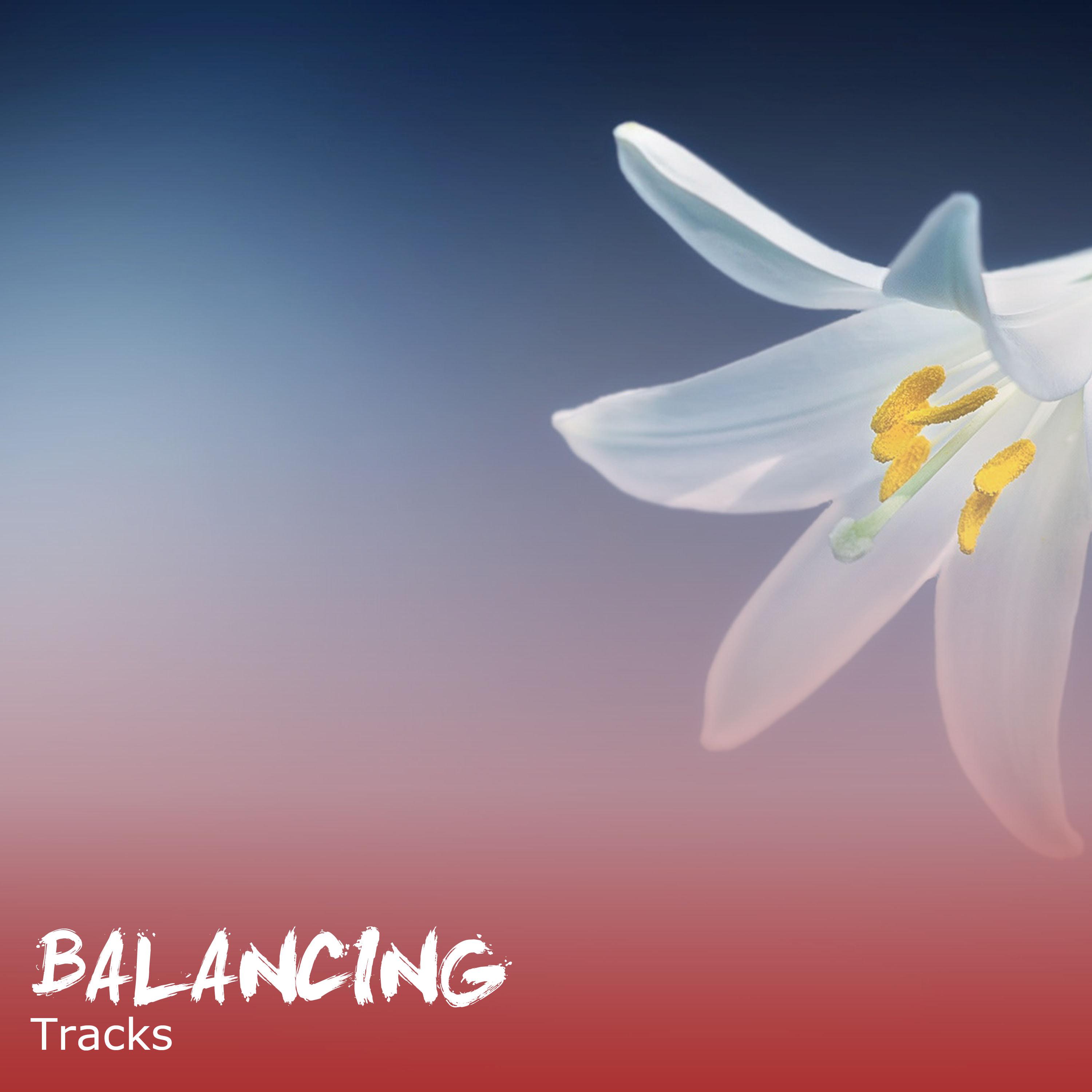 #20 Balancing Tracks for Spa & Relaxation