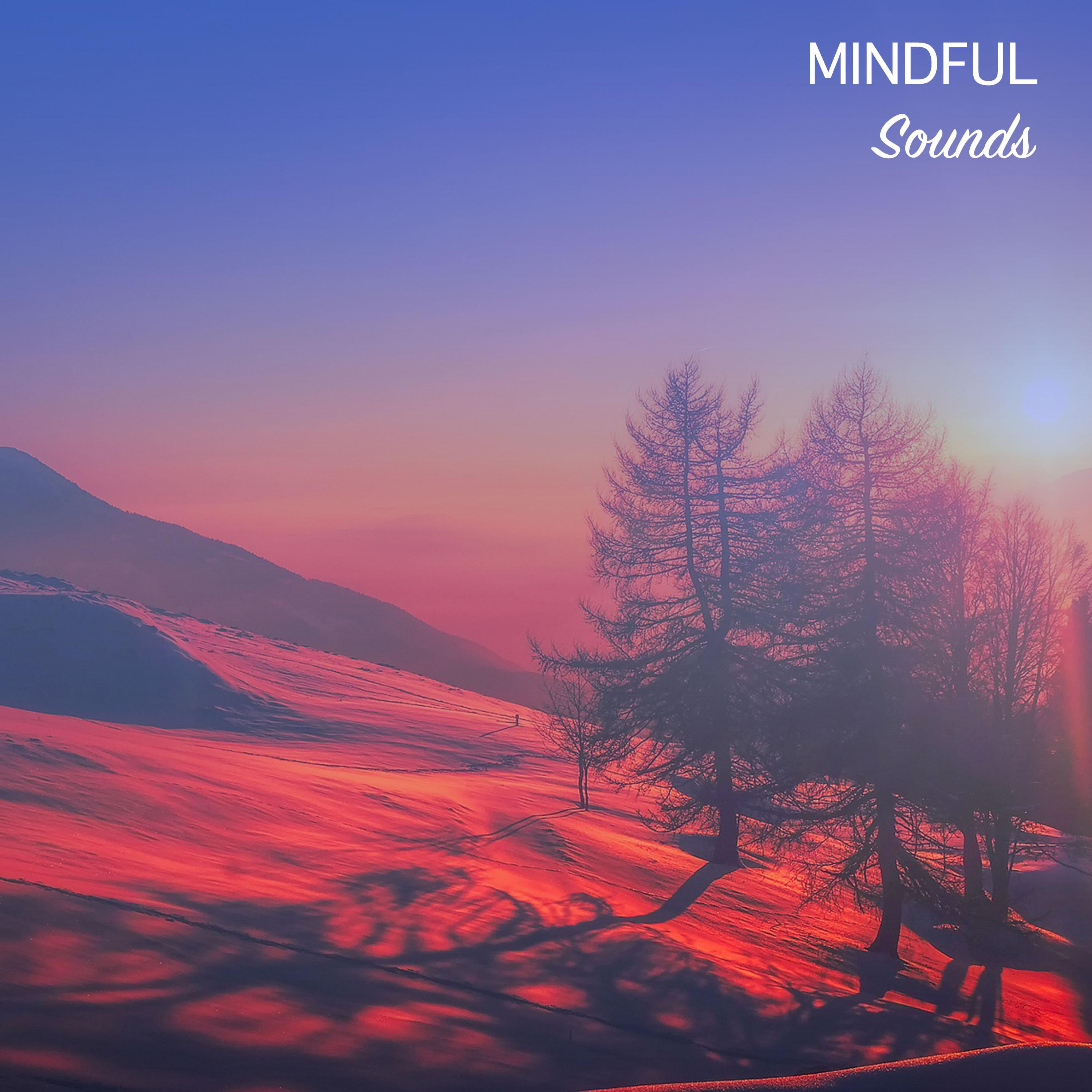 #14 Mindful Sounds for Meditation