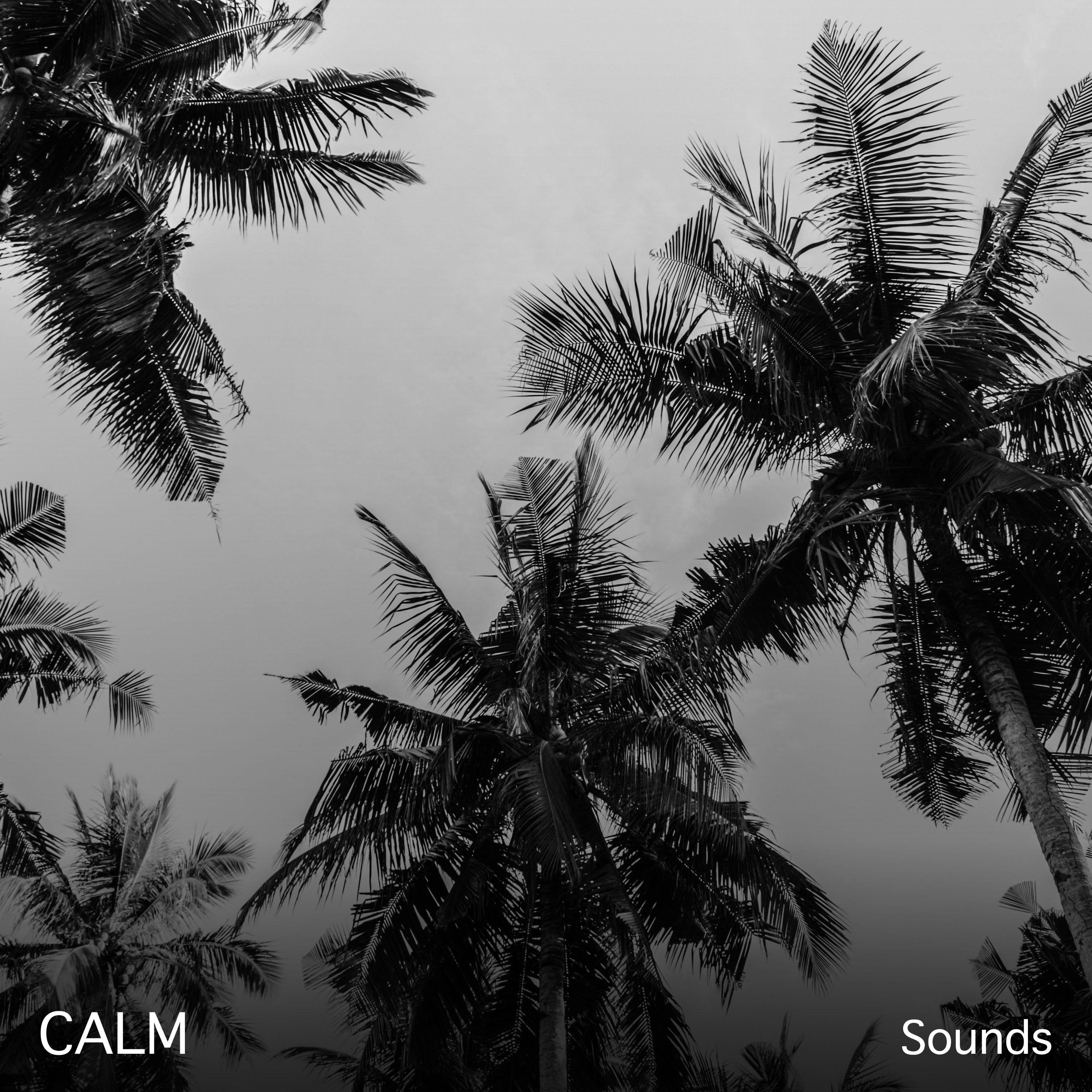 #15 Calm Sounds for Meditation