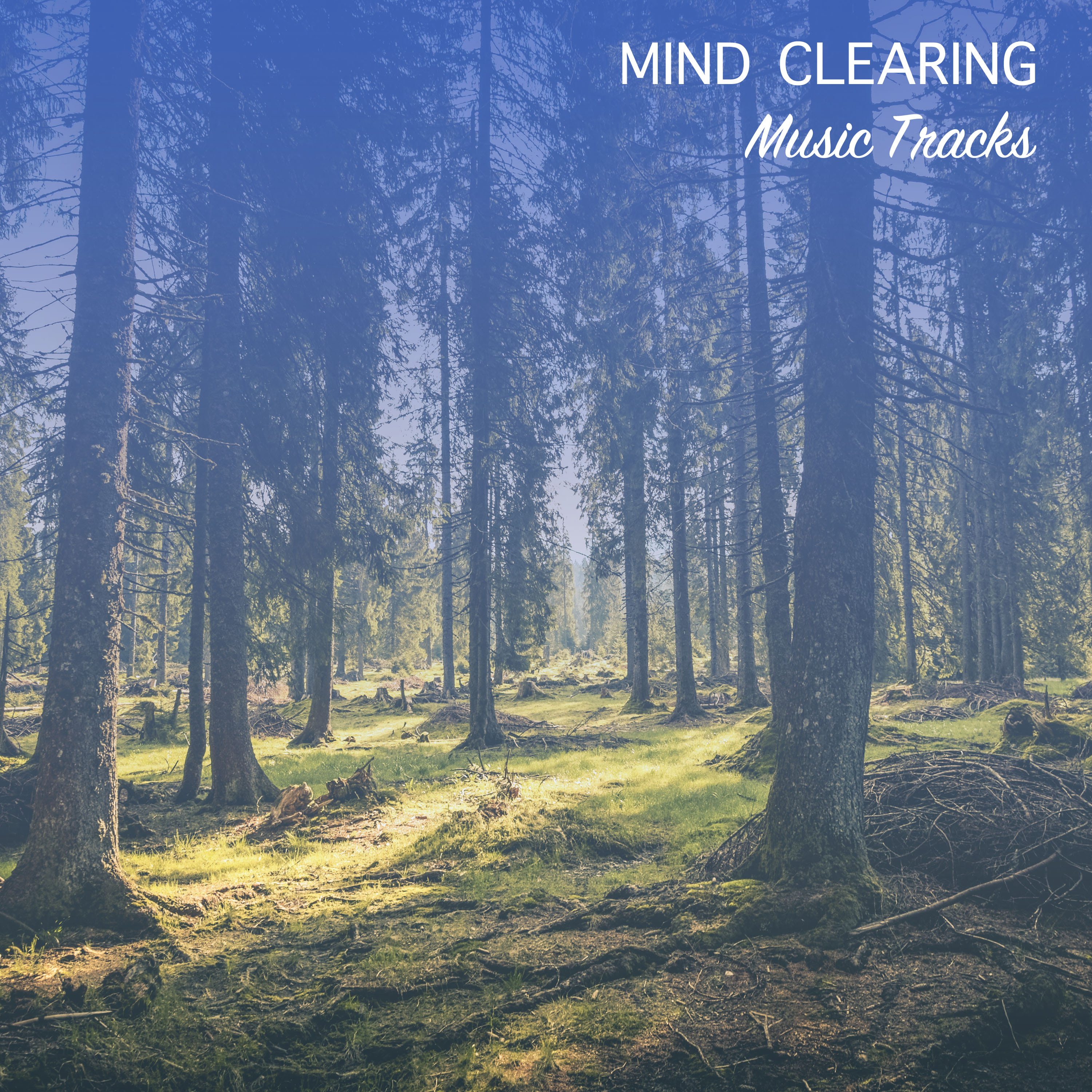 #21 Mind Clearing Music Tracks for Ultimate Spa Relaxation