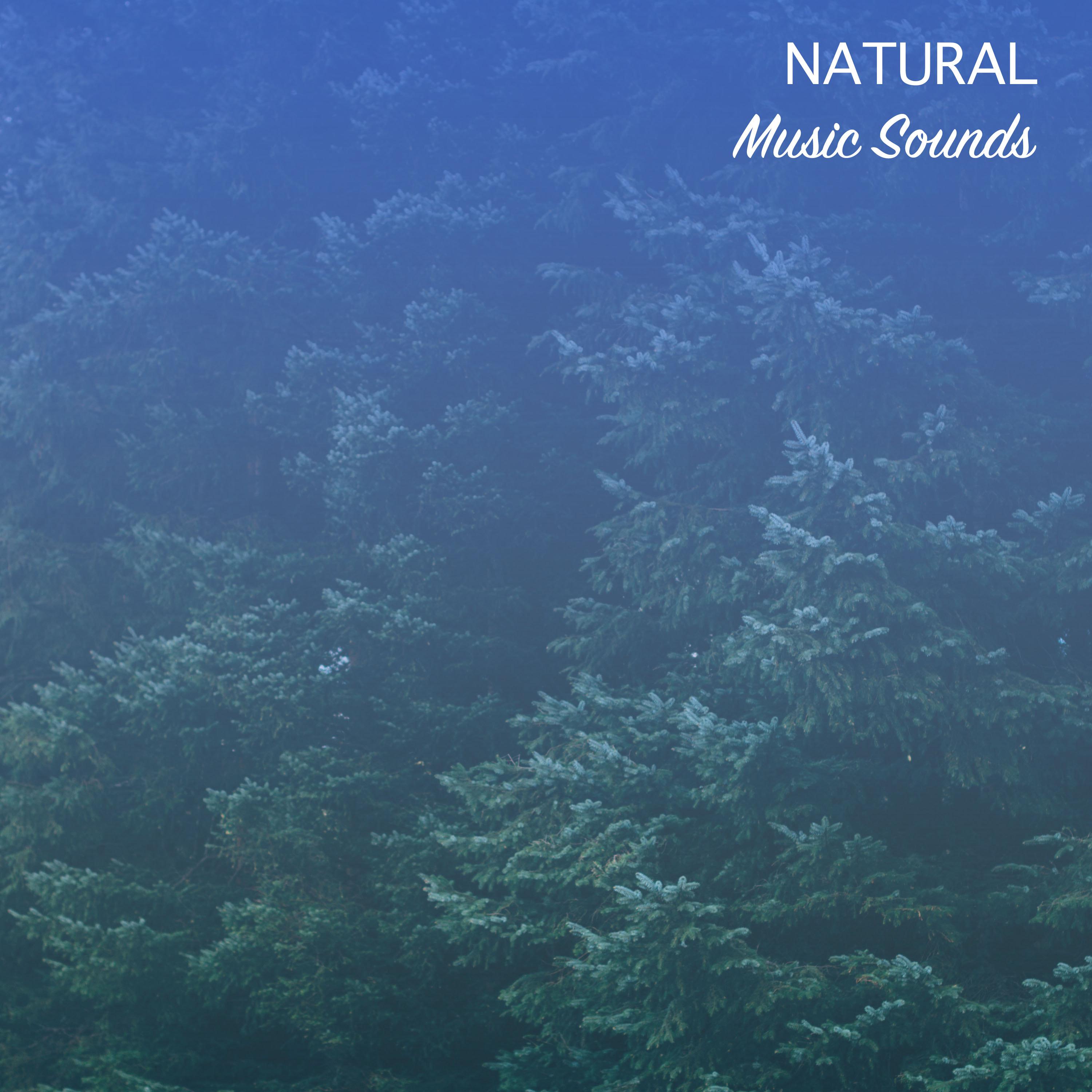 #17 Natural Music Sounds for Yoga