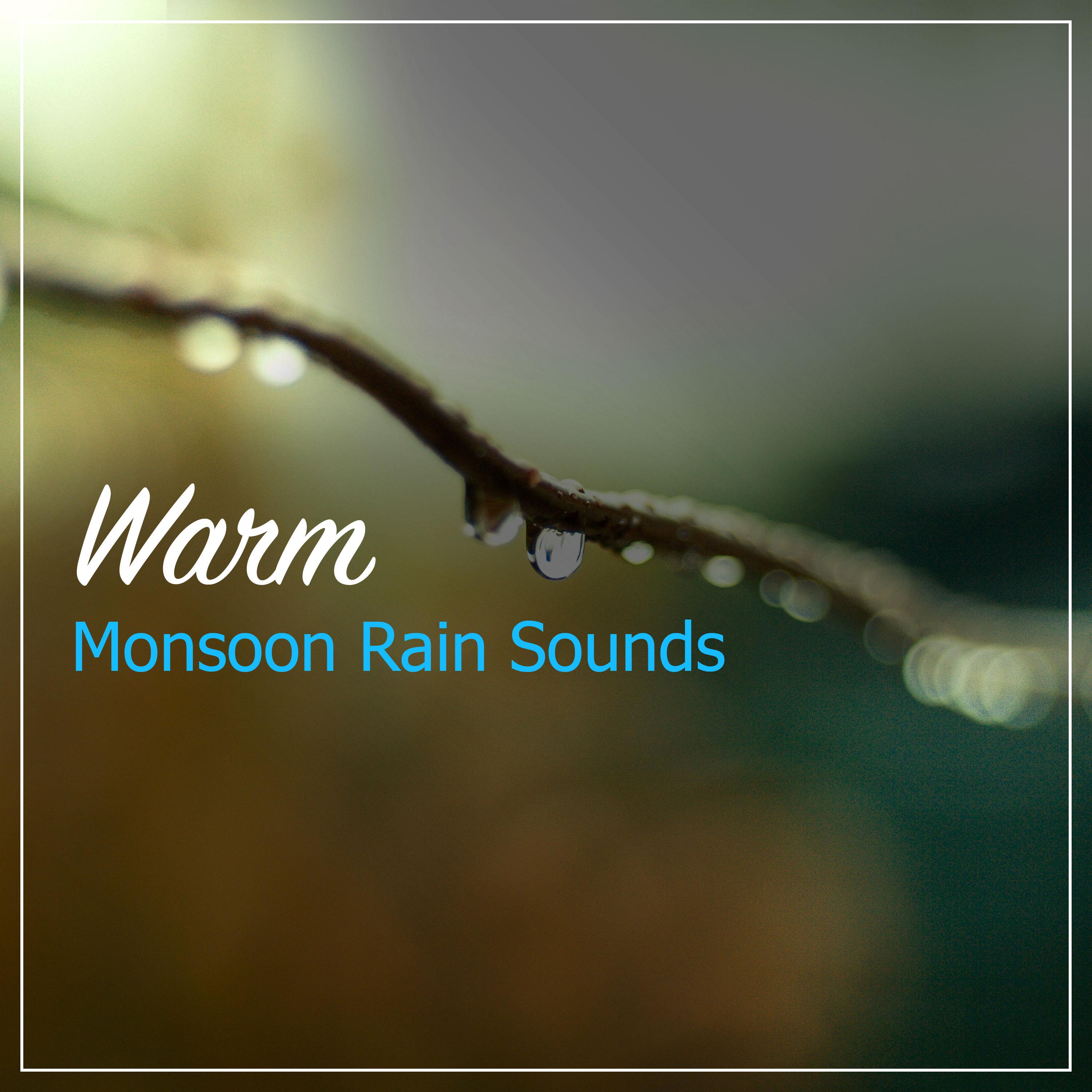 #12 Warm Monsoon Rain Sounds