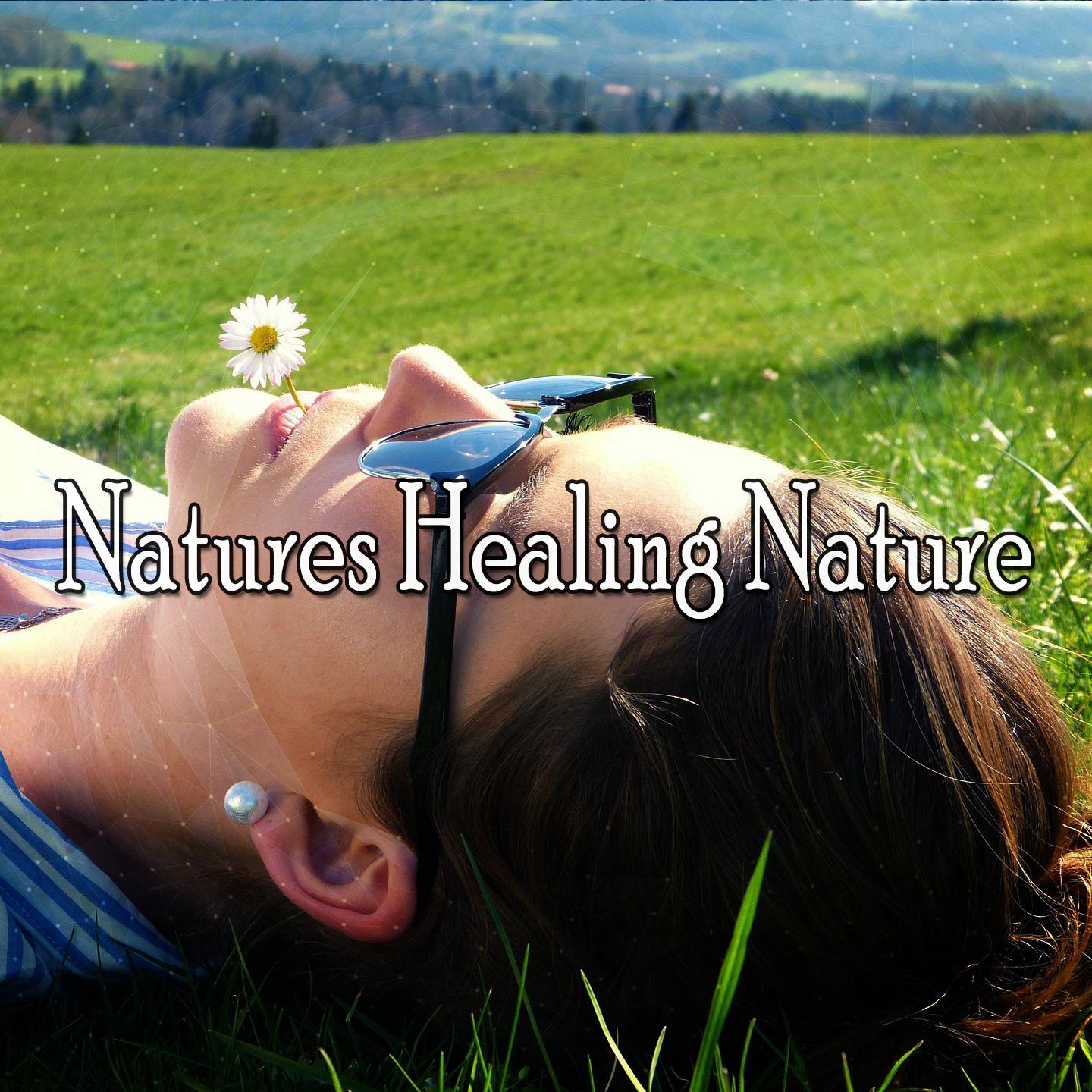 Natures Healing Nature