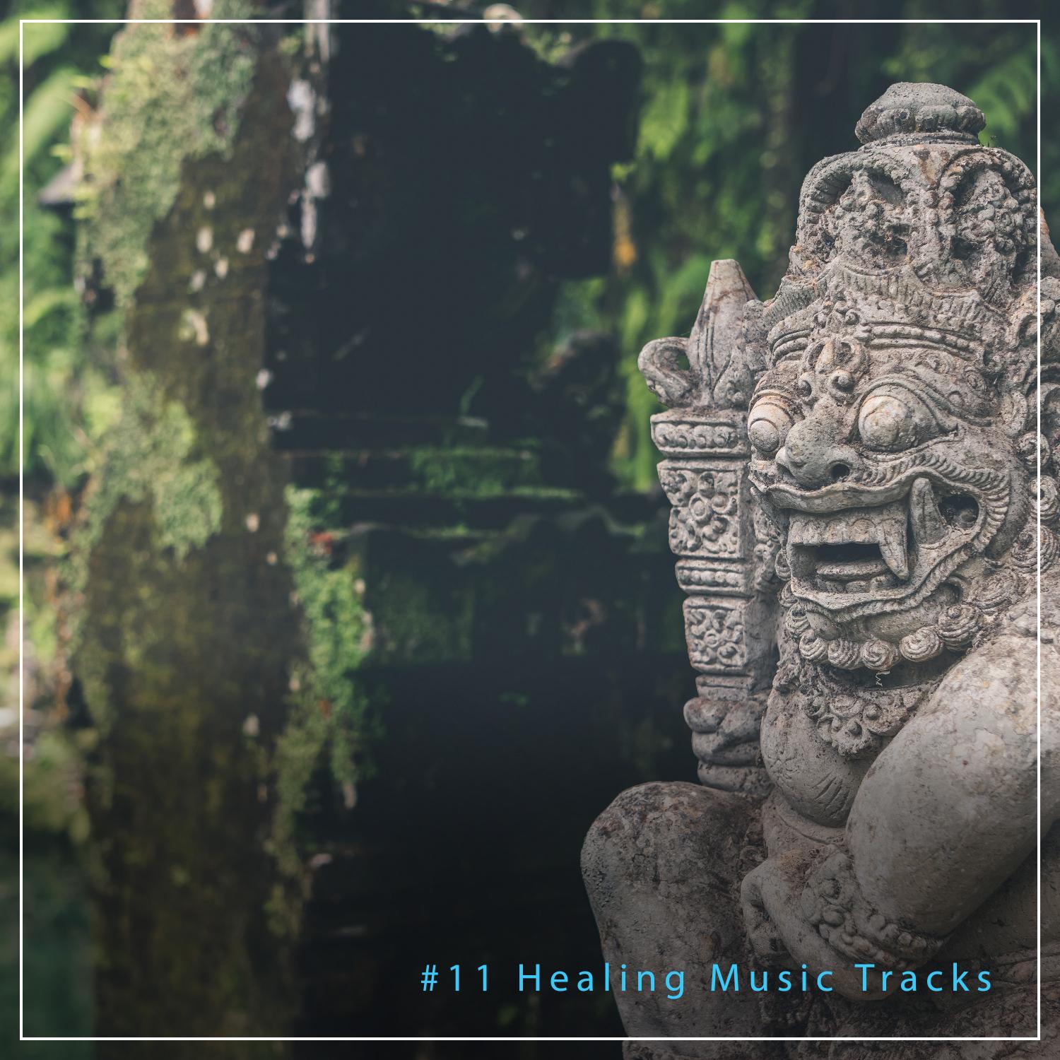 #11 Healing Music Tracks for Relaxation & Chakra Healing