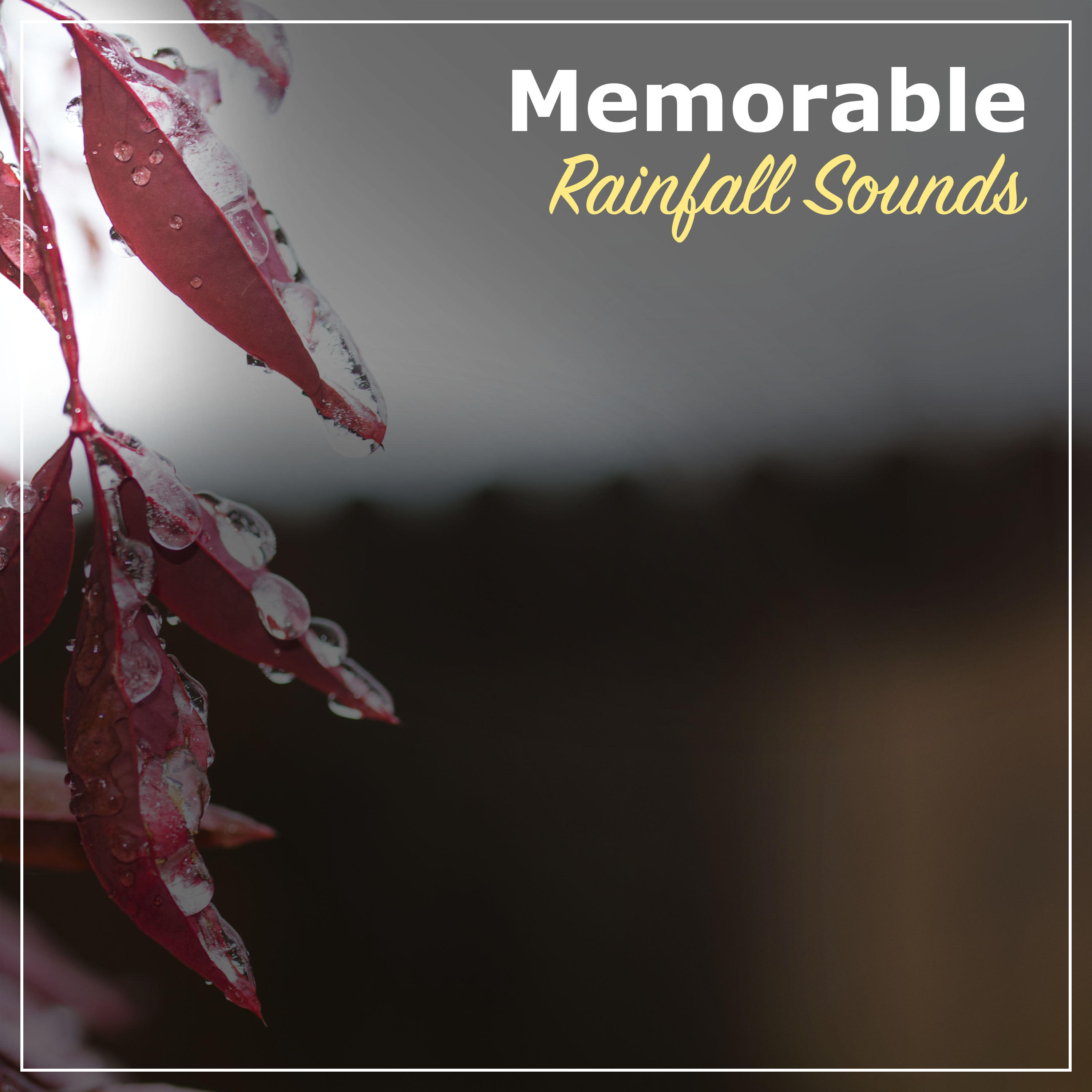 #16 Memorable Rainfall Sounds from Nature