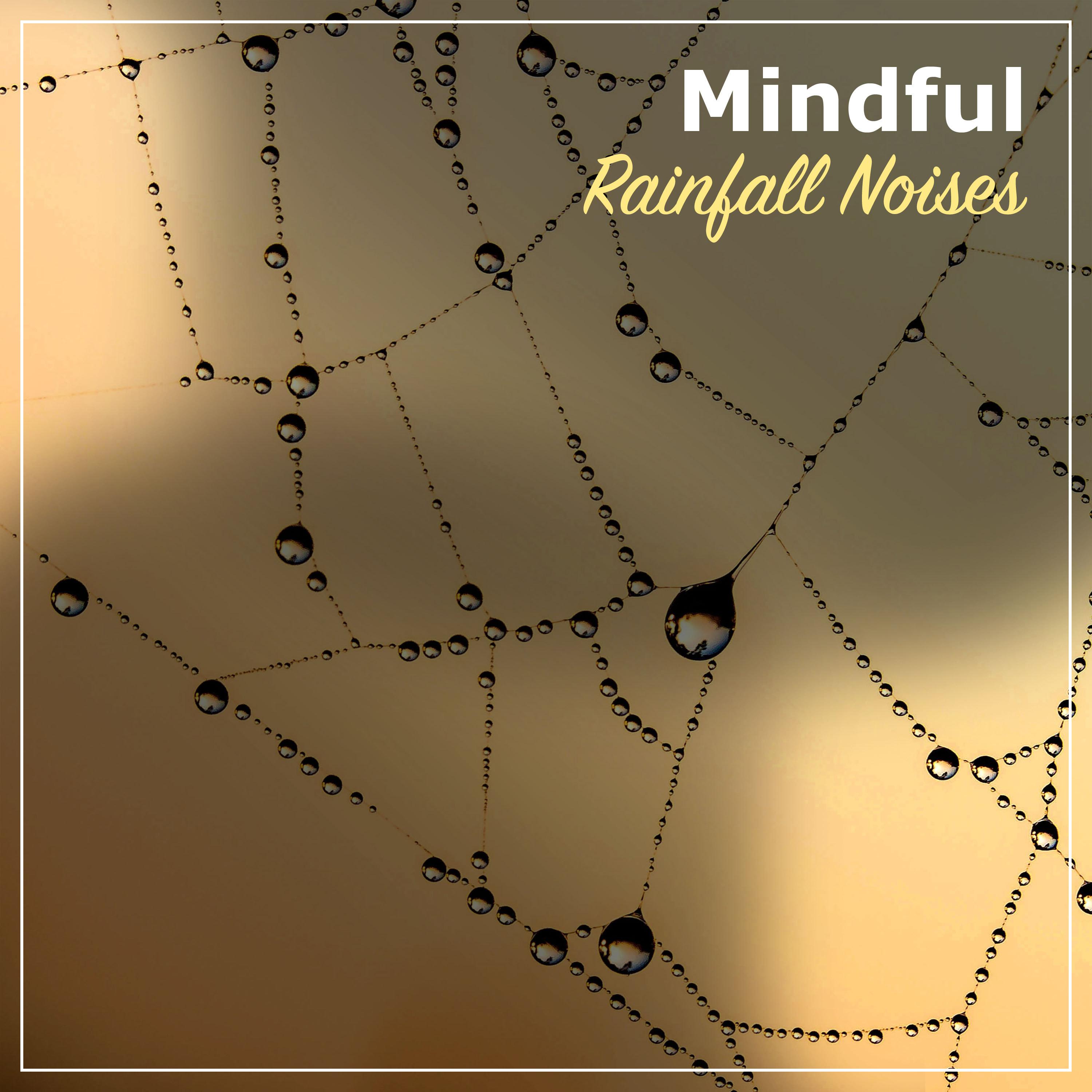 #17 Mindful Rainfall Noises