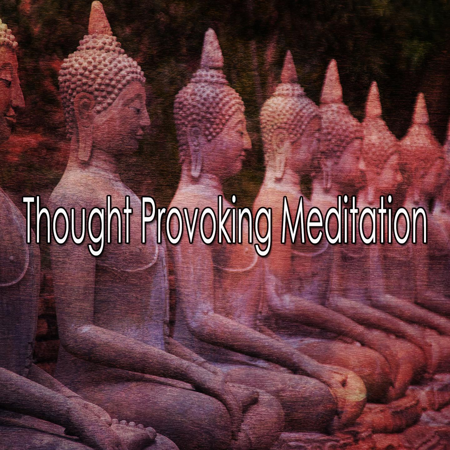 Thought Provoking Meditation