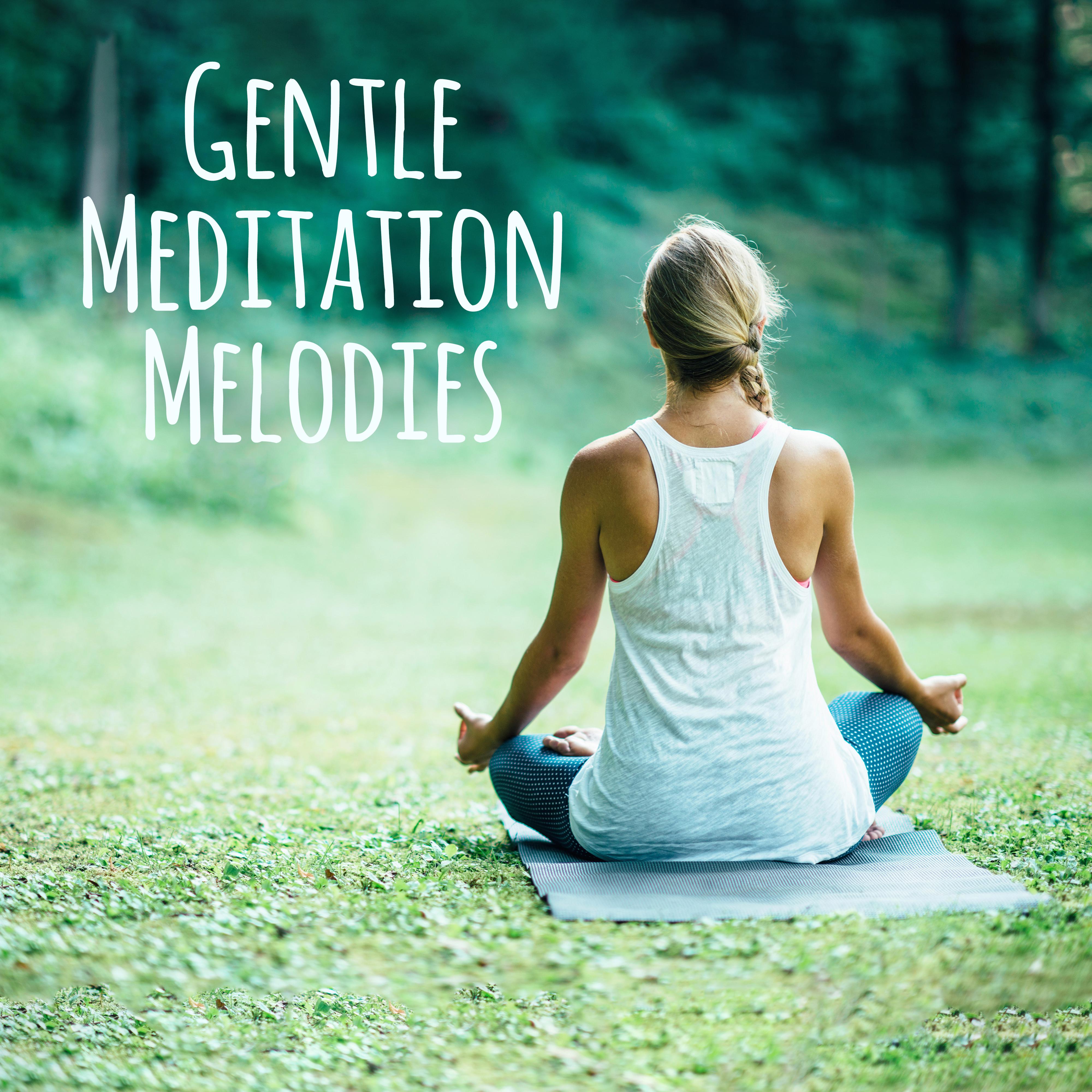 Gentle Meditation Melodies
