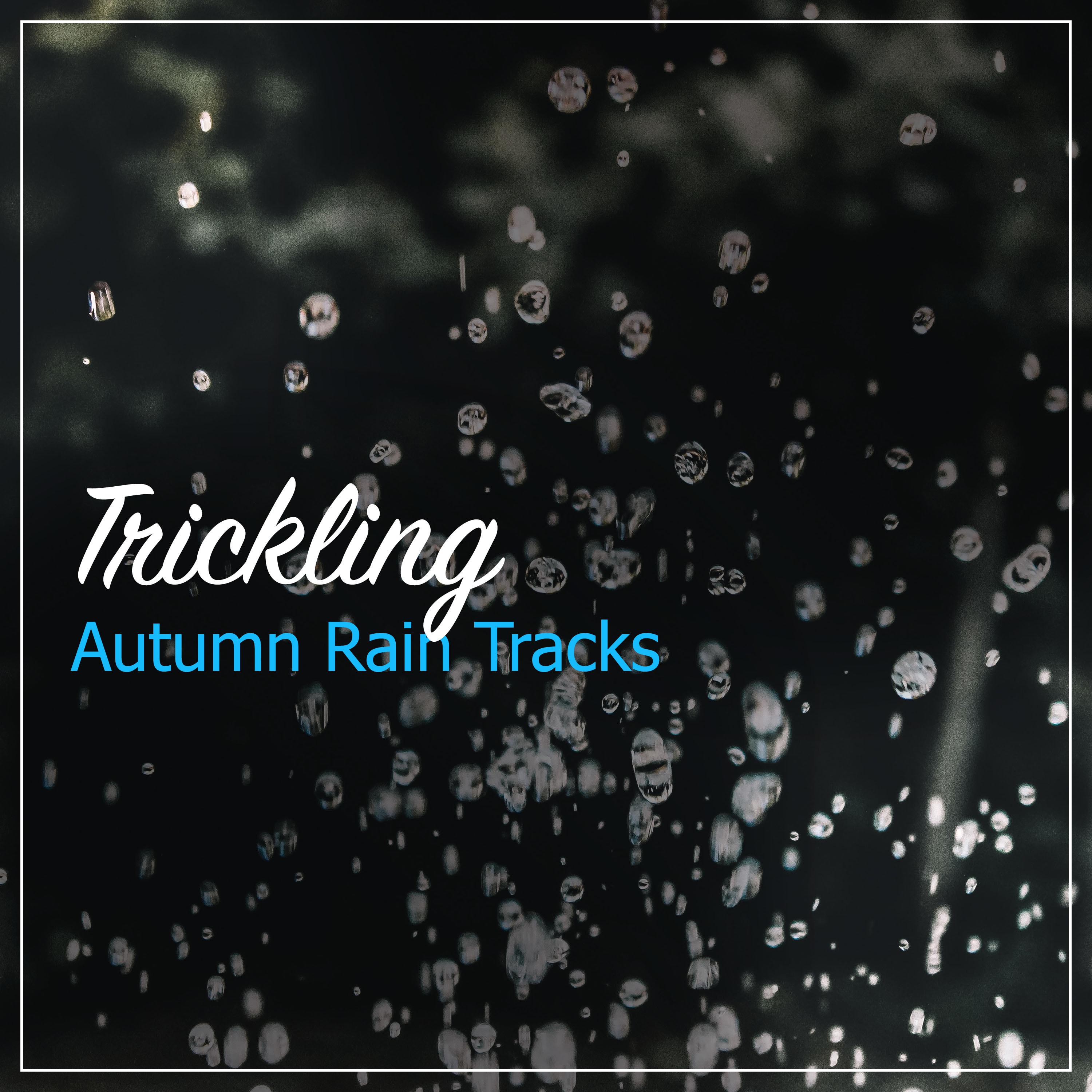 #16 Trickling Autumn Rain Tracks from Nature