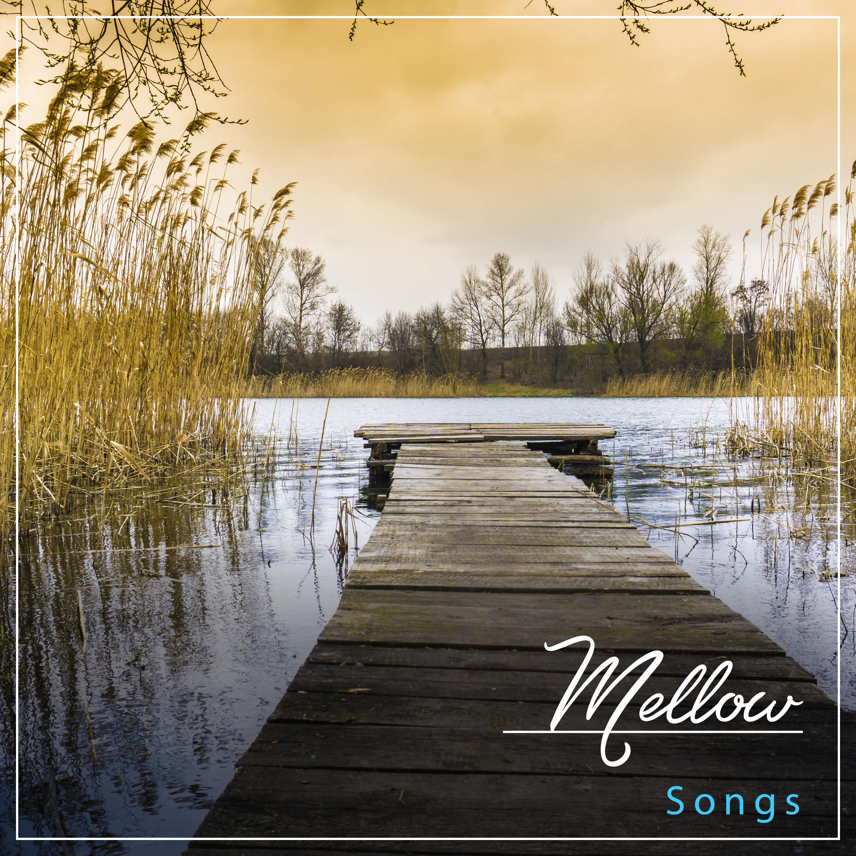 #10 Mellow Songs for Meditation