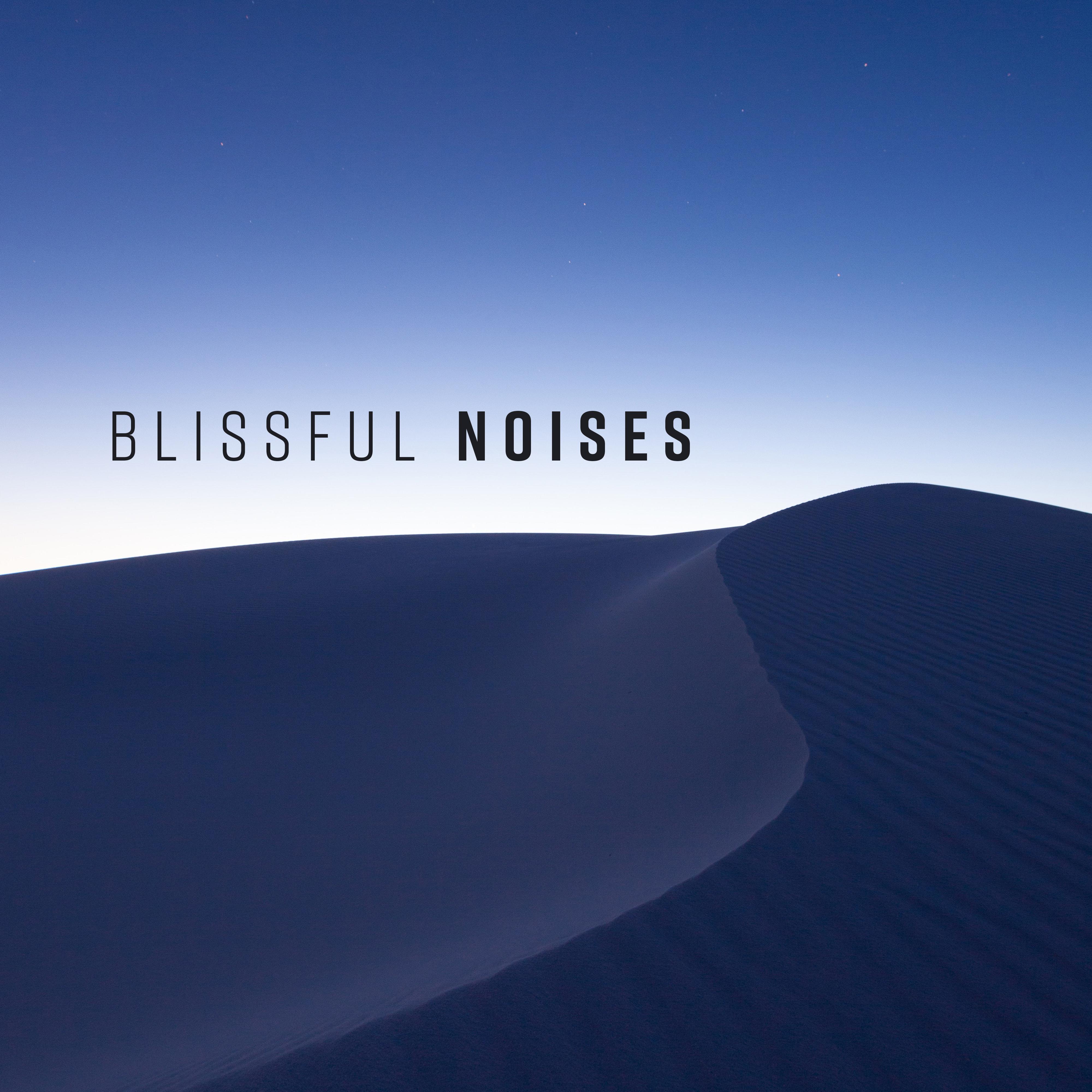 Blissful Noises