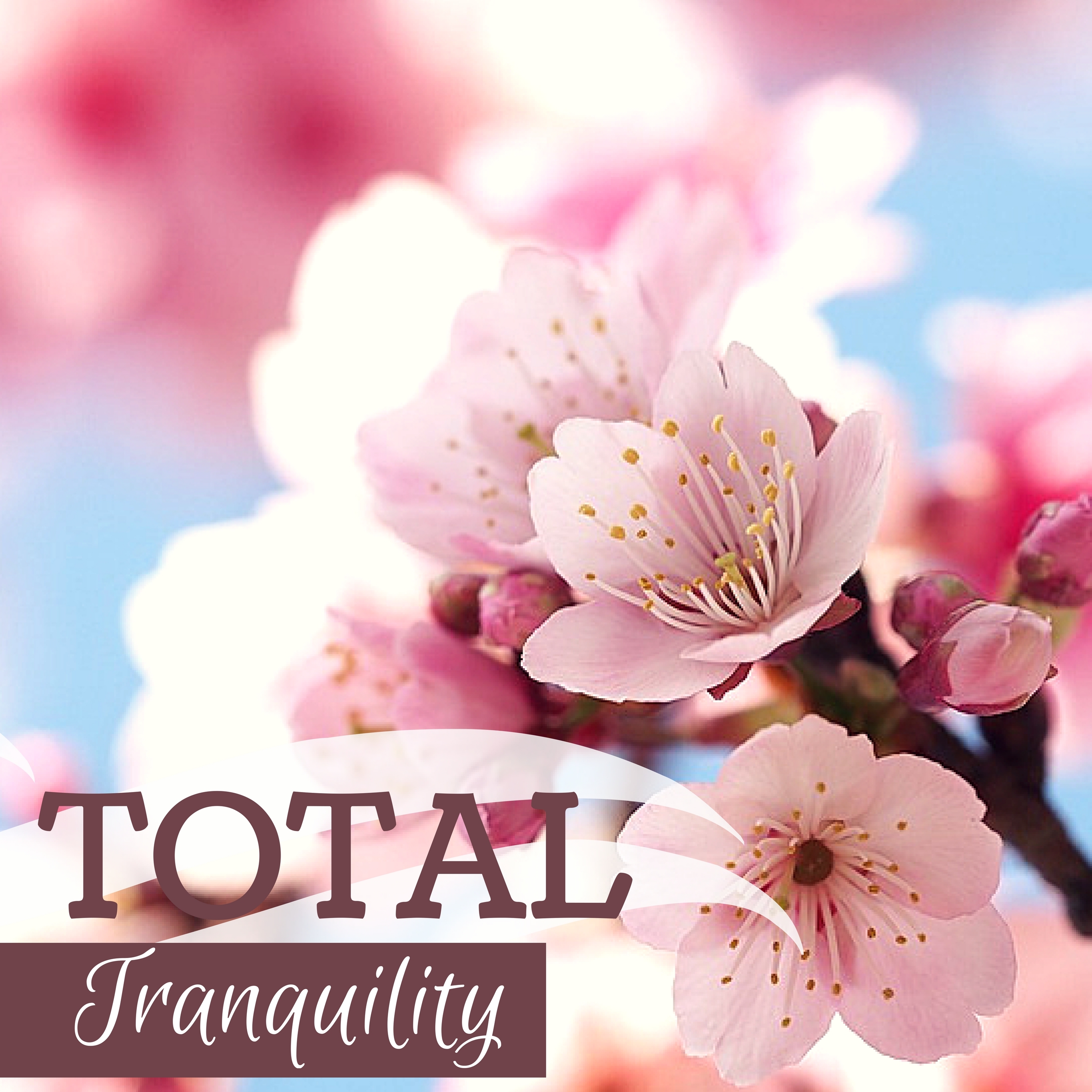 Total Tranquility - Healing Sounds, Delta Waves for Sleep Stimulation, Sleeping System