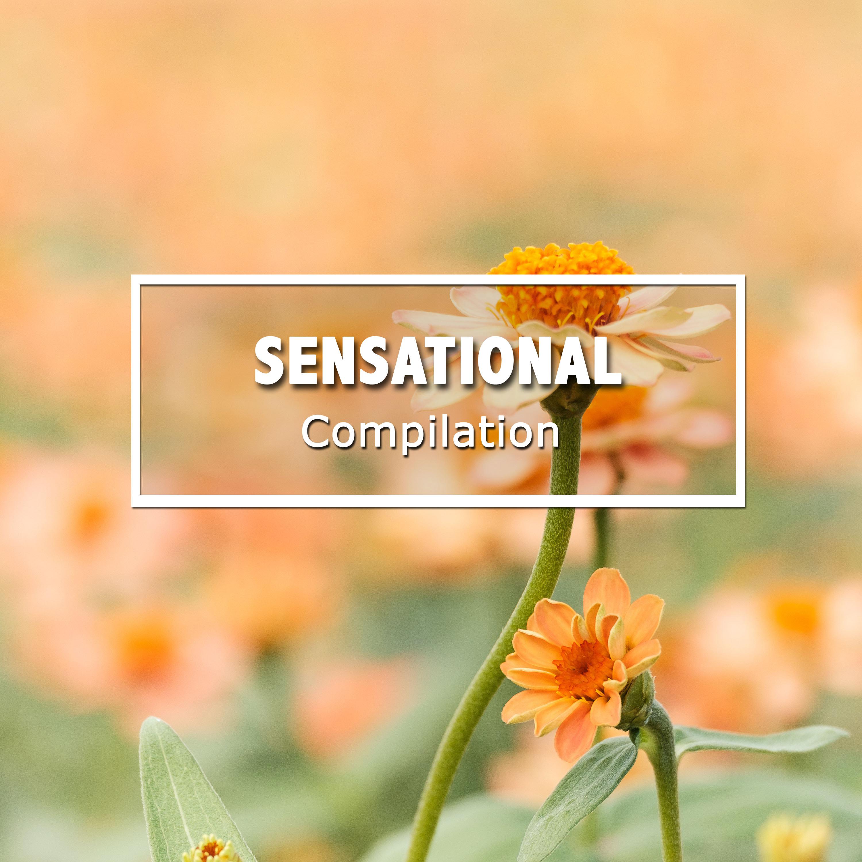 #21 Sensational Compilation for Relaxation & Massage