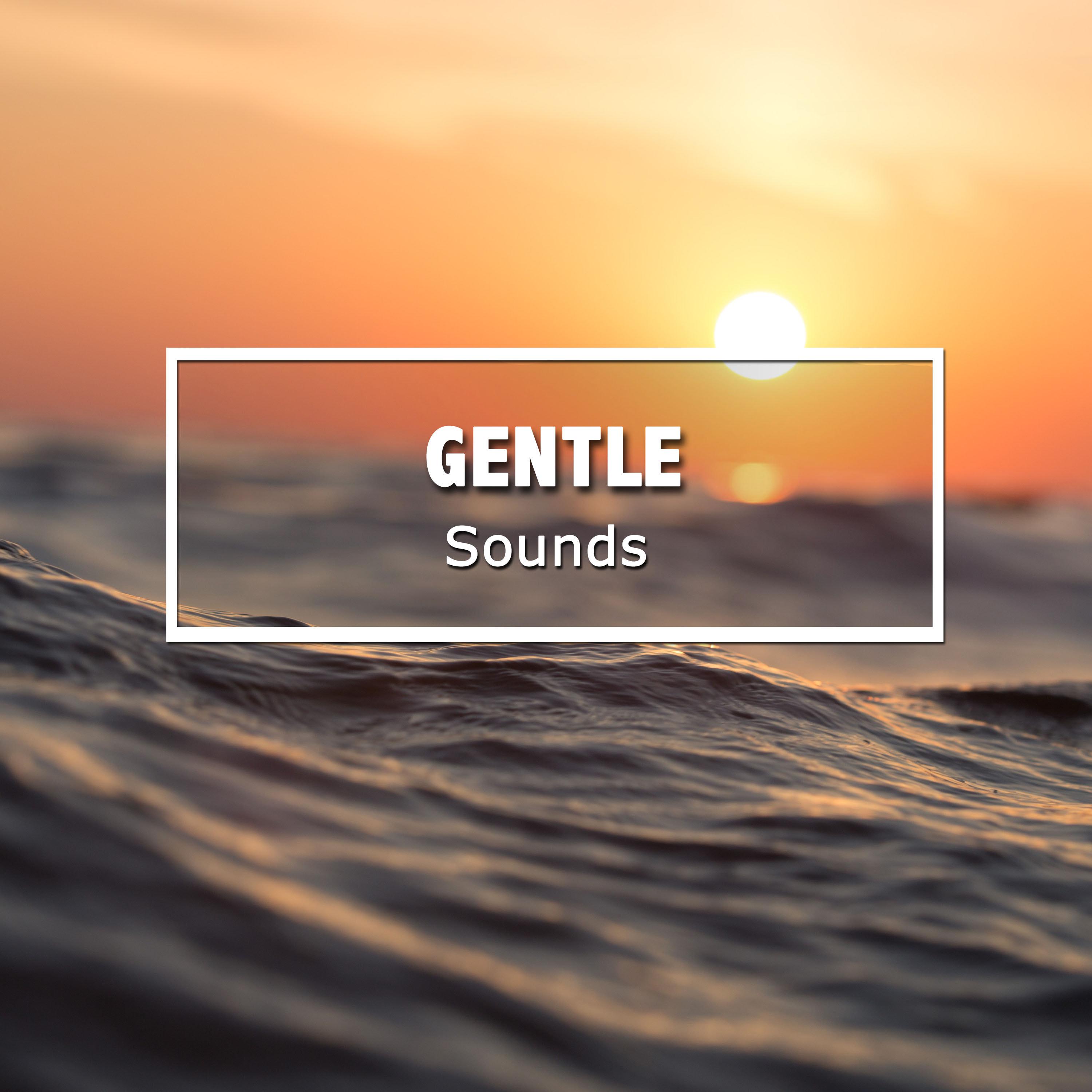 #17 Gentle Sounds for Meditation