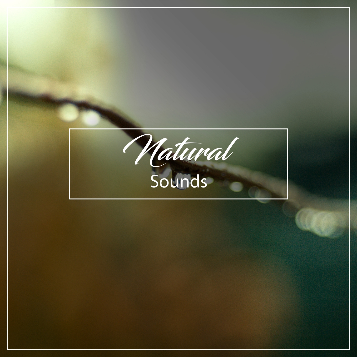 12 Calming Natural Sounds of Nature