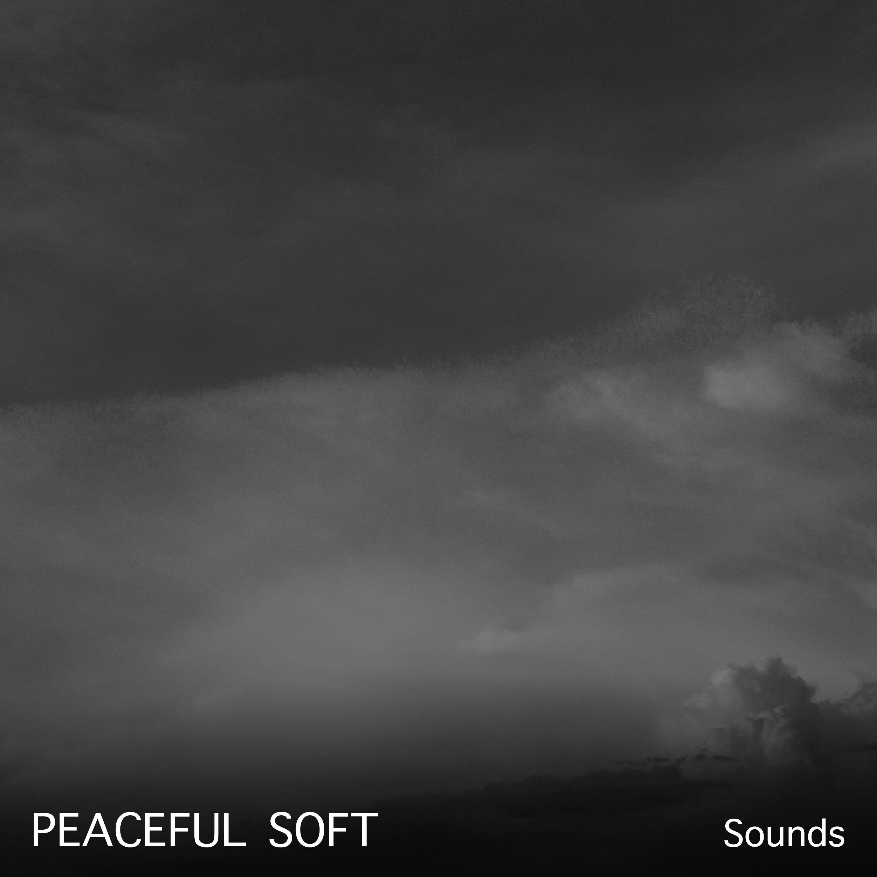 #20 Peaceful Soft Sounds for Stress Relieving Meditation