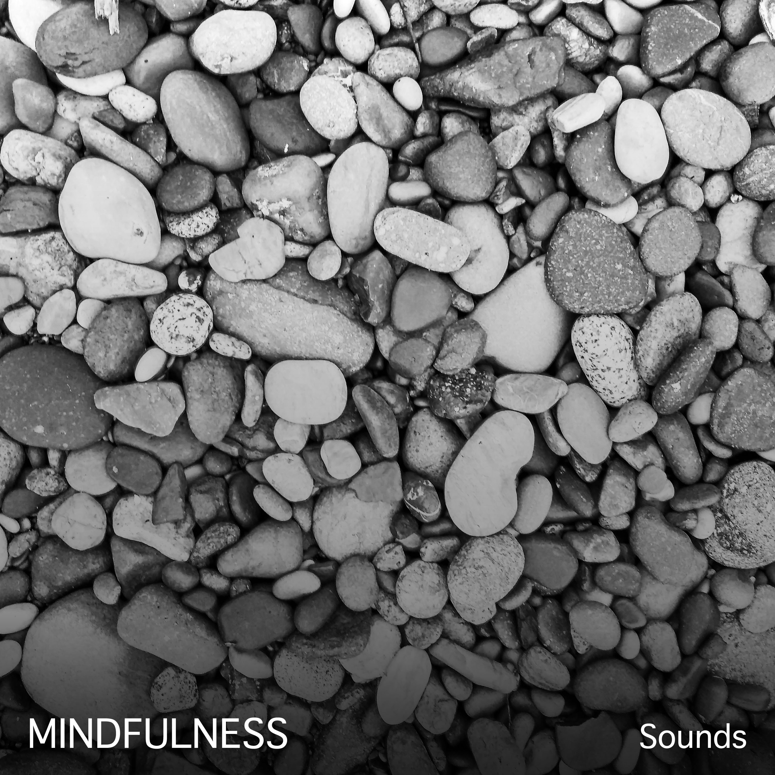 #15 Mindfulness Sounds for Asian Spa, Meditation & Yoga
