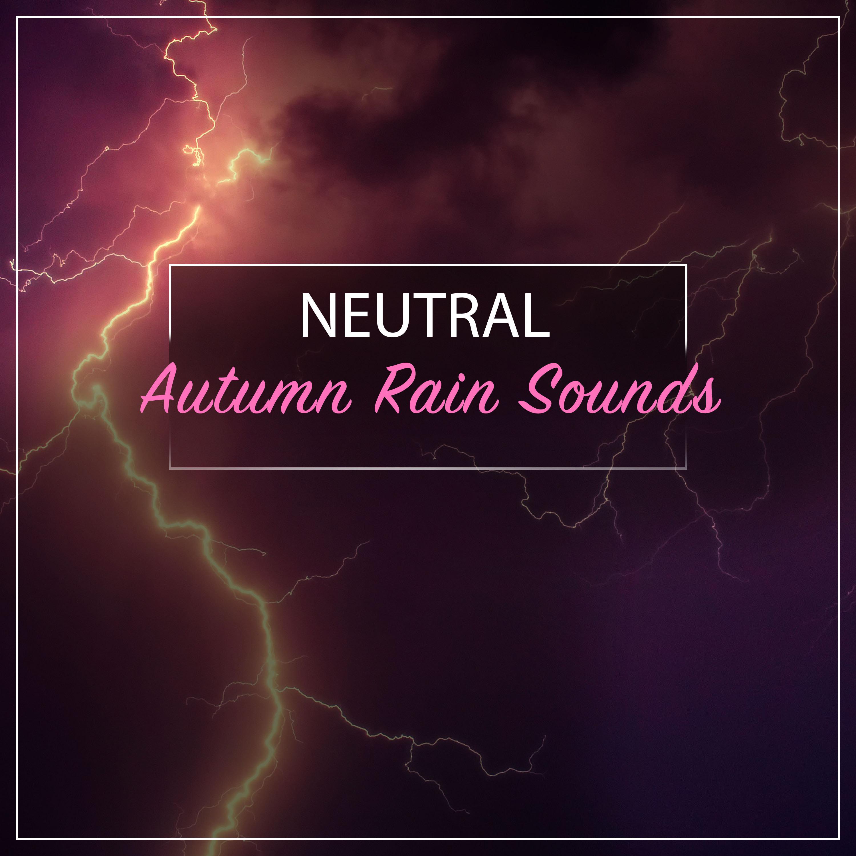 #15 Neutral Autumn Rain Sounds from Nature