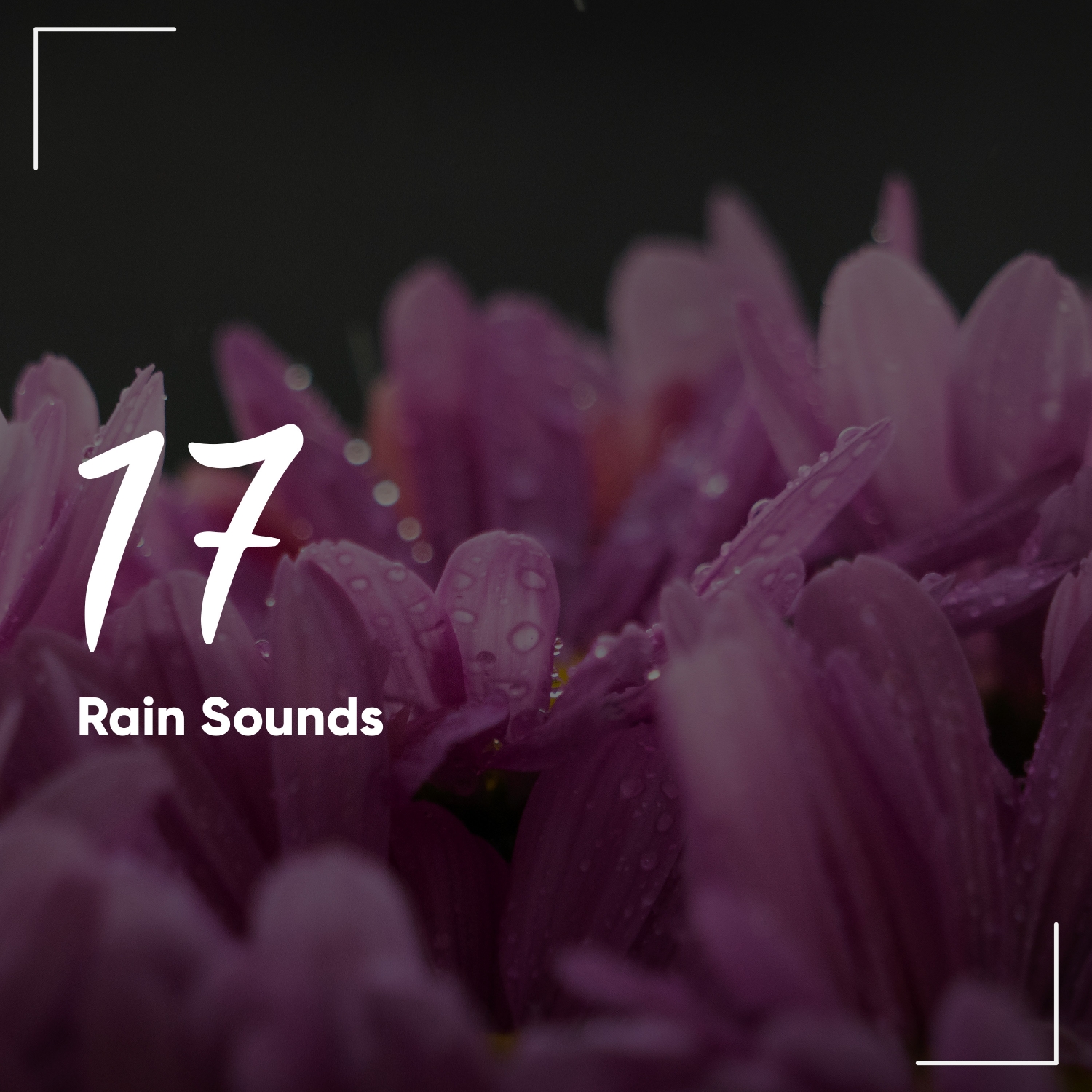 17 Rain Sounds to Soothe the Soul