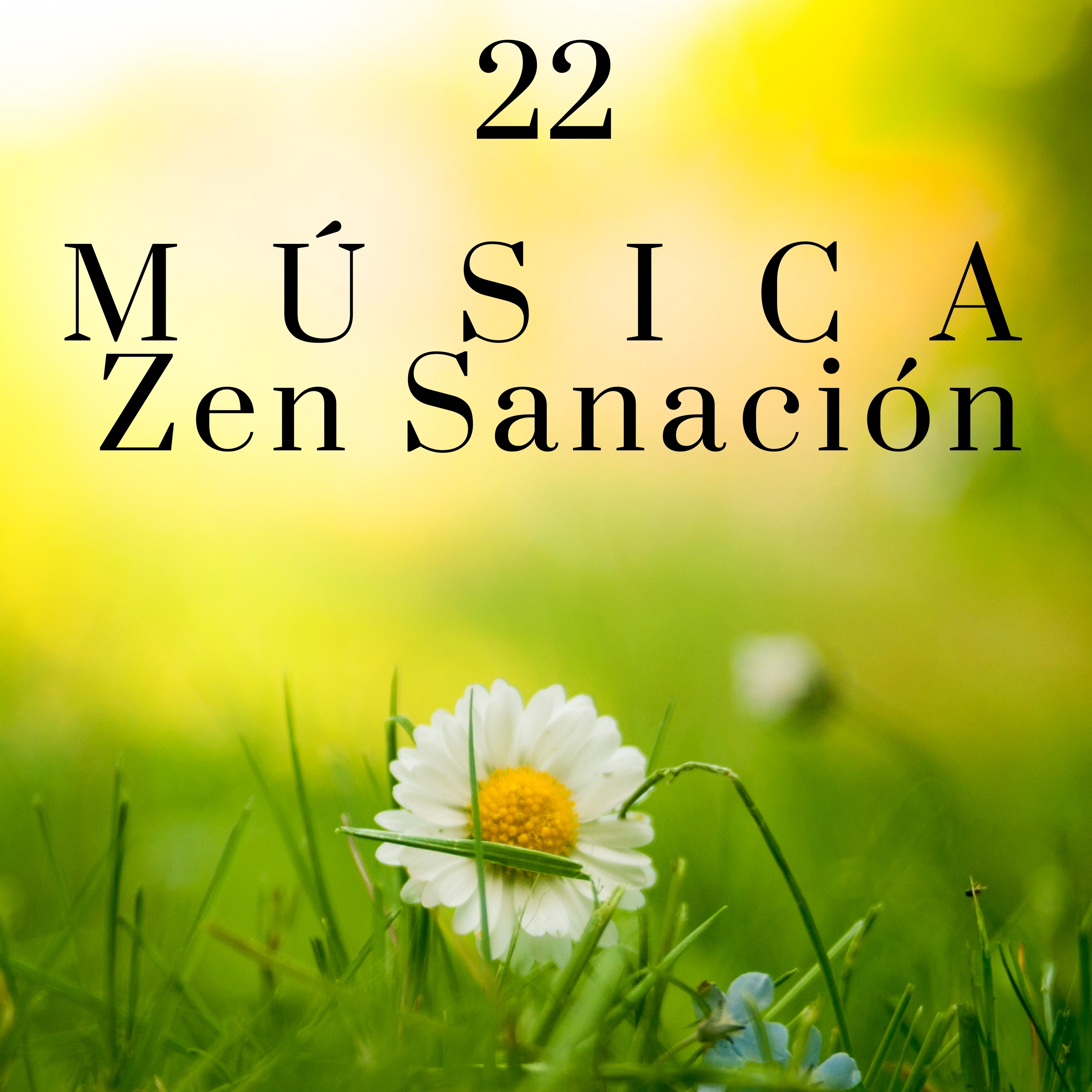 Música Zen Sanación