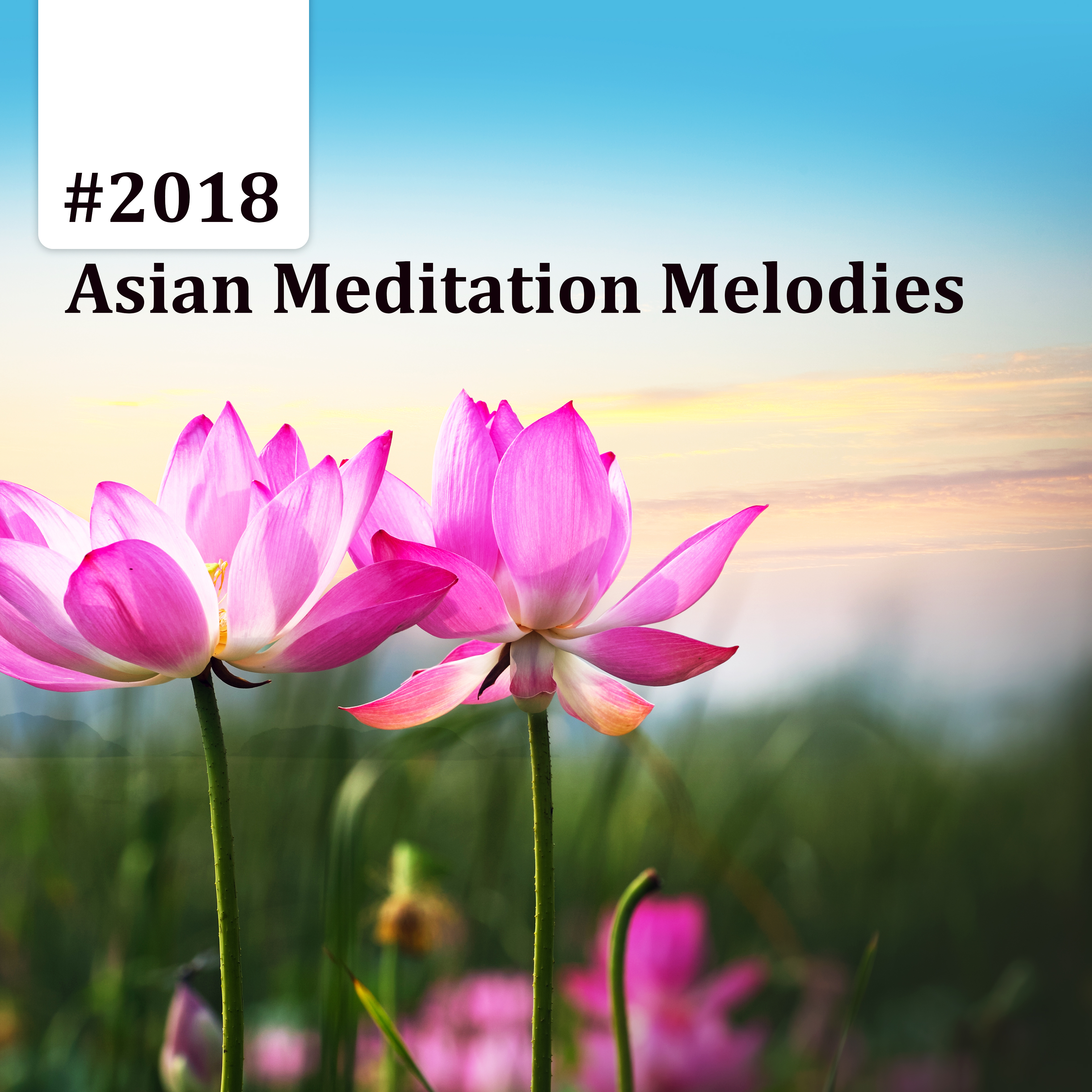 #2018 Asian Meditation Melodies