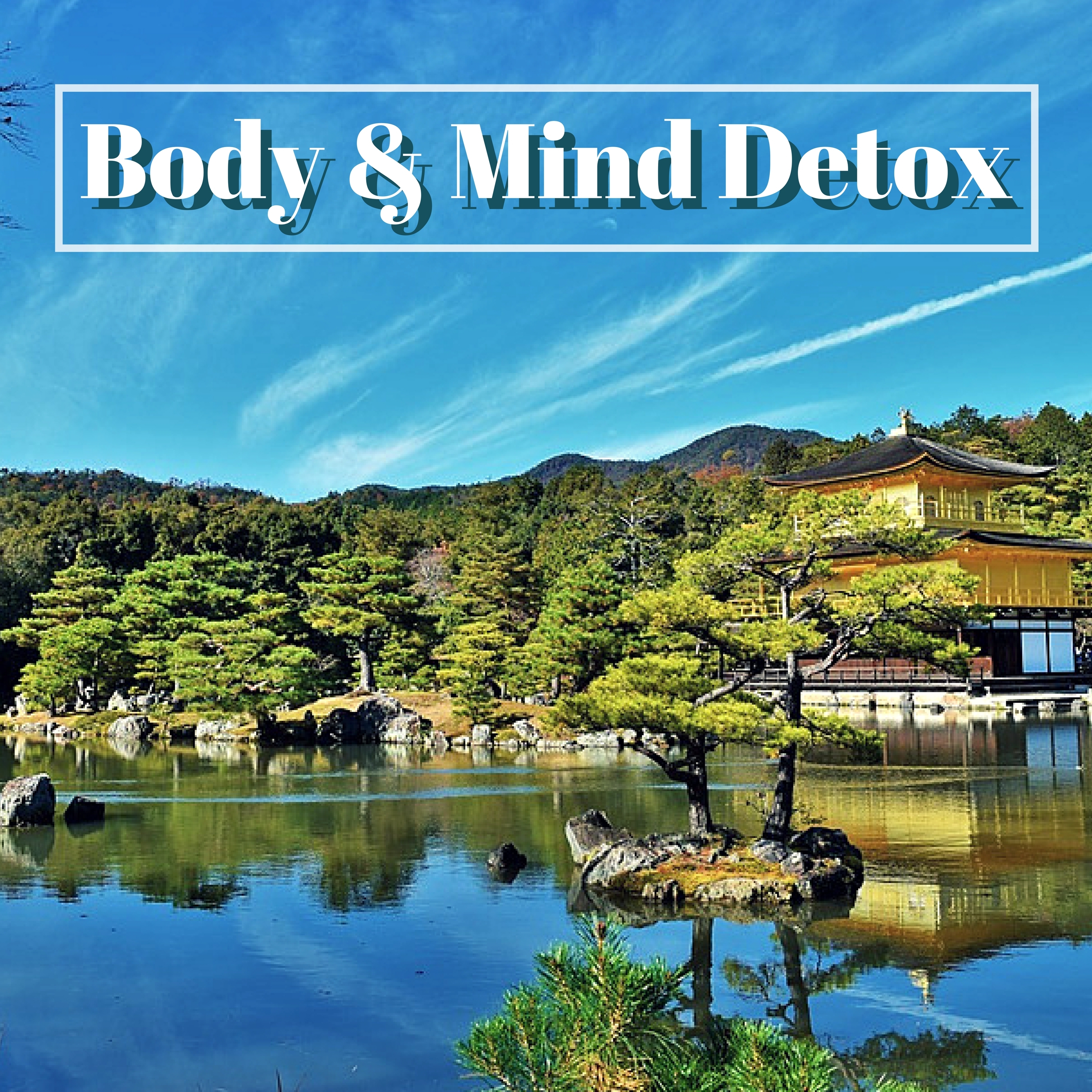 Body & Mind Detox - Calm Tibetan Bells and Tibetan Singing Bowls for Oriental Peace