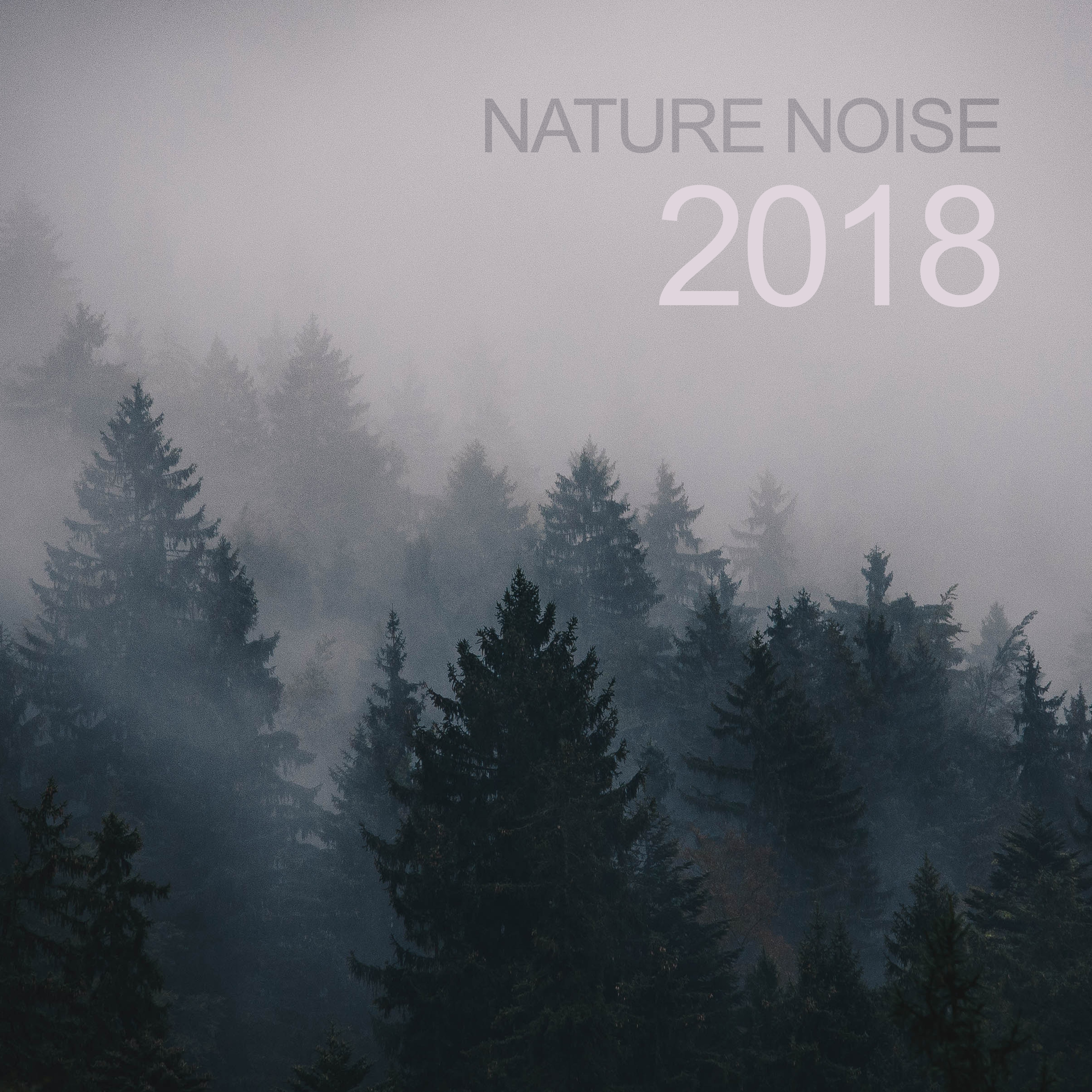2018 Nature Noise