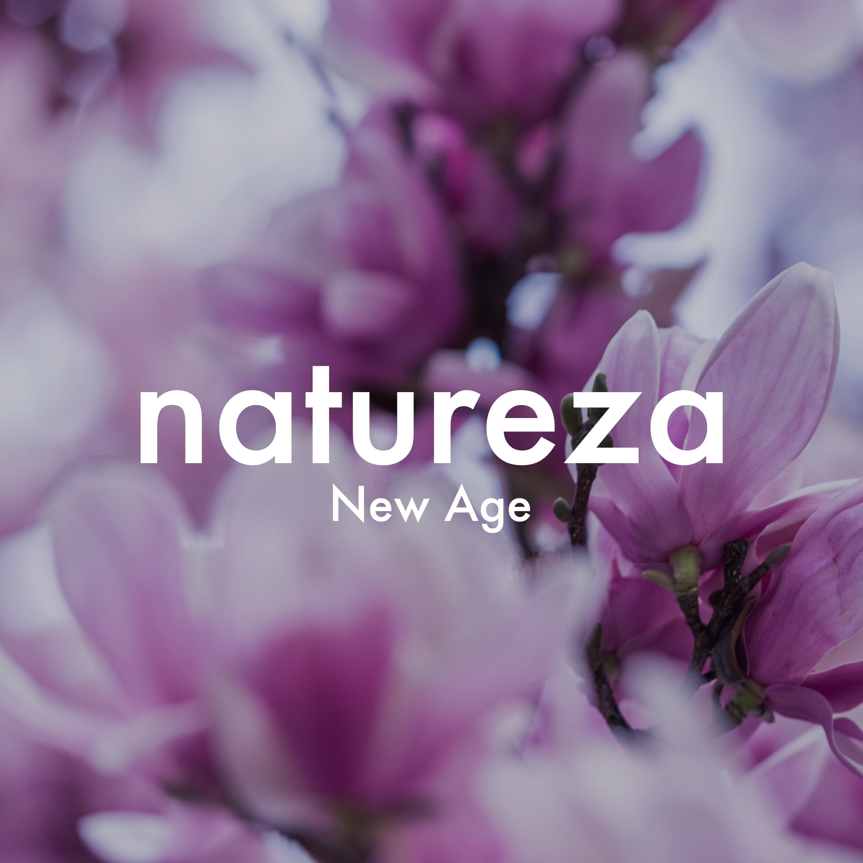 Natureza New Age - musica relajante para meditar, musica instrumental para dormir, musica zen relajante