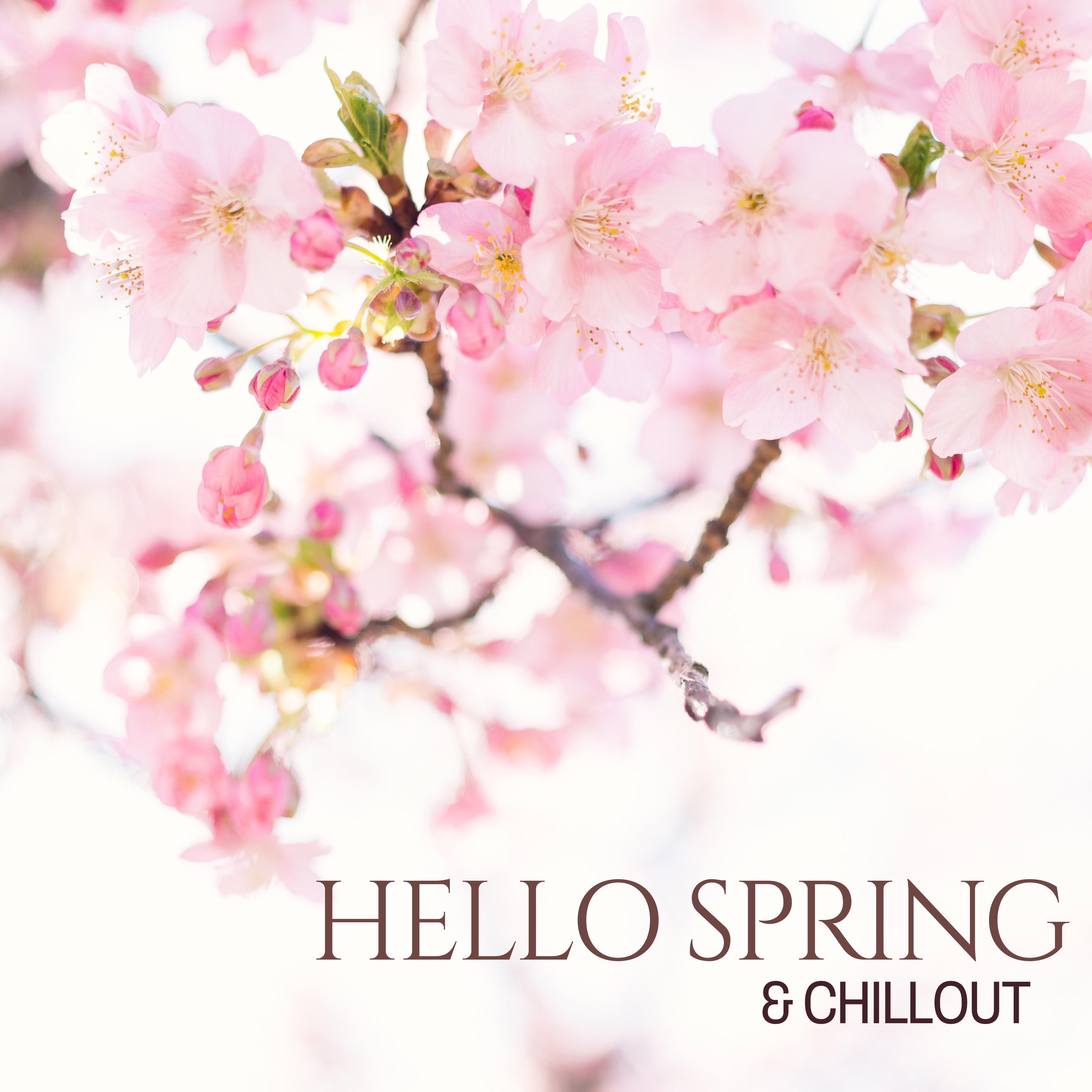 Hello Spring & Chillout