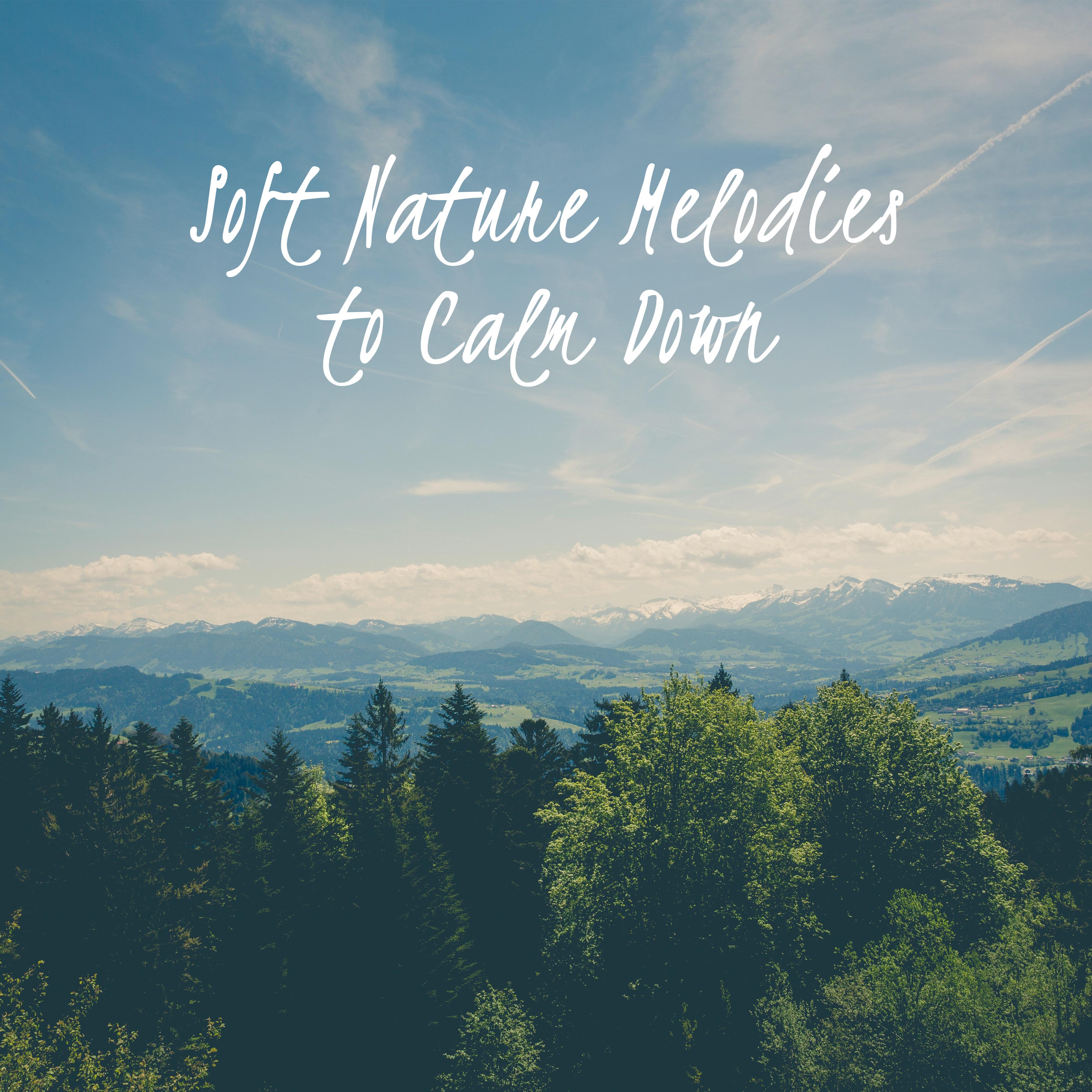 Soft Nature Melodies to Calm Down
