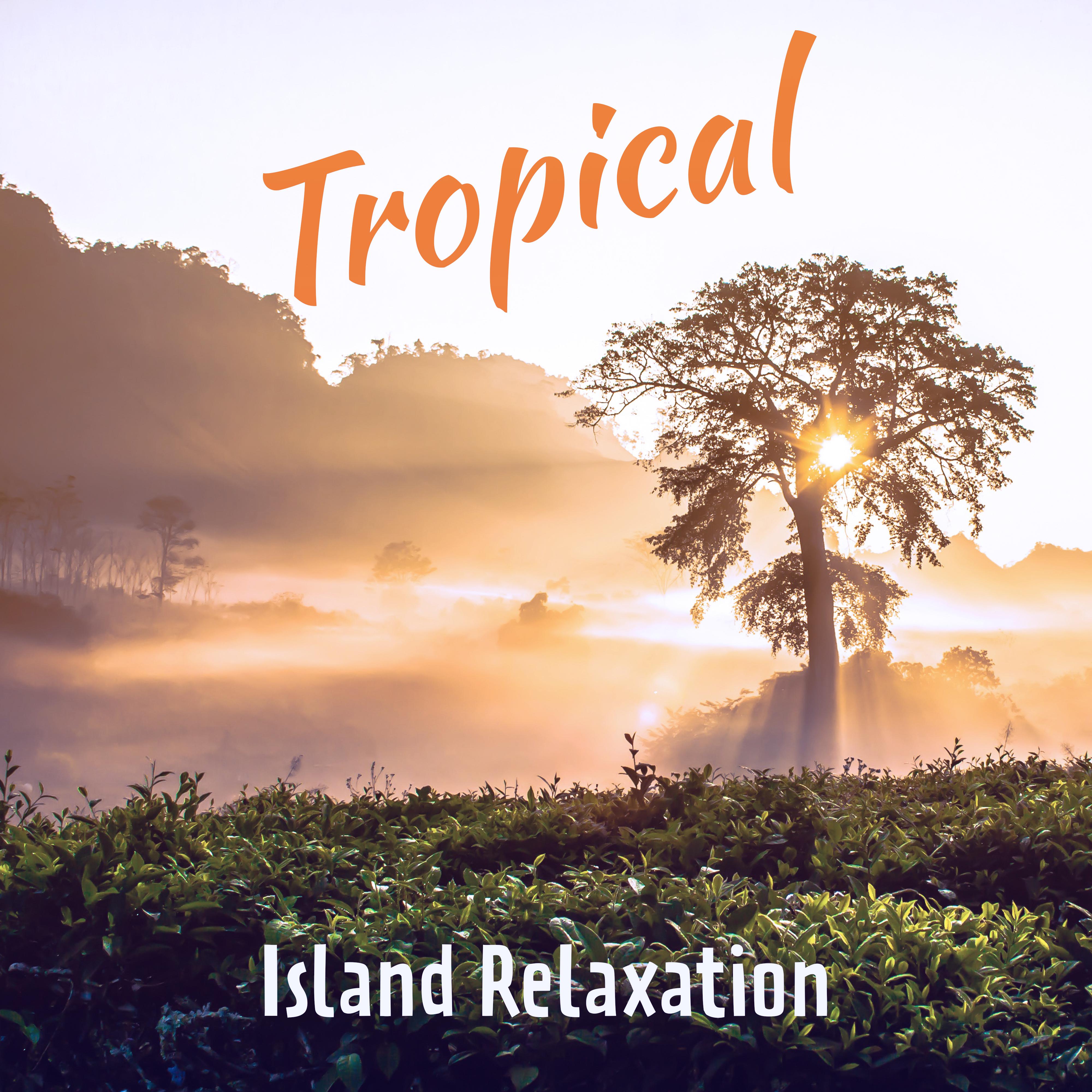 Tropical Island Relaxation