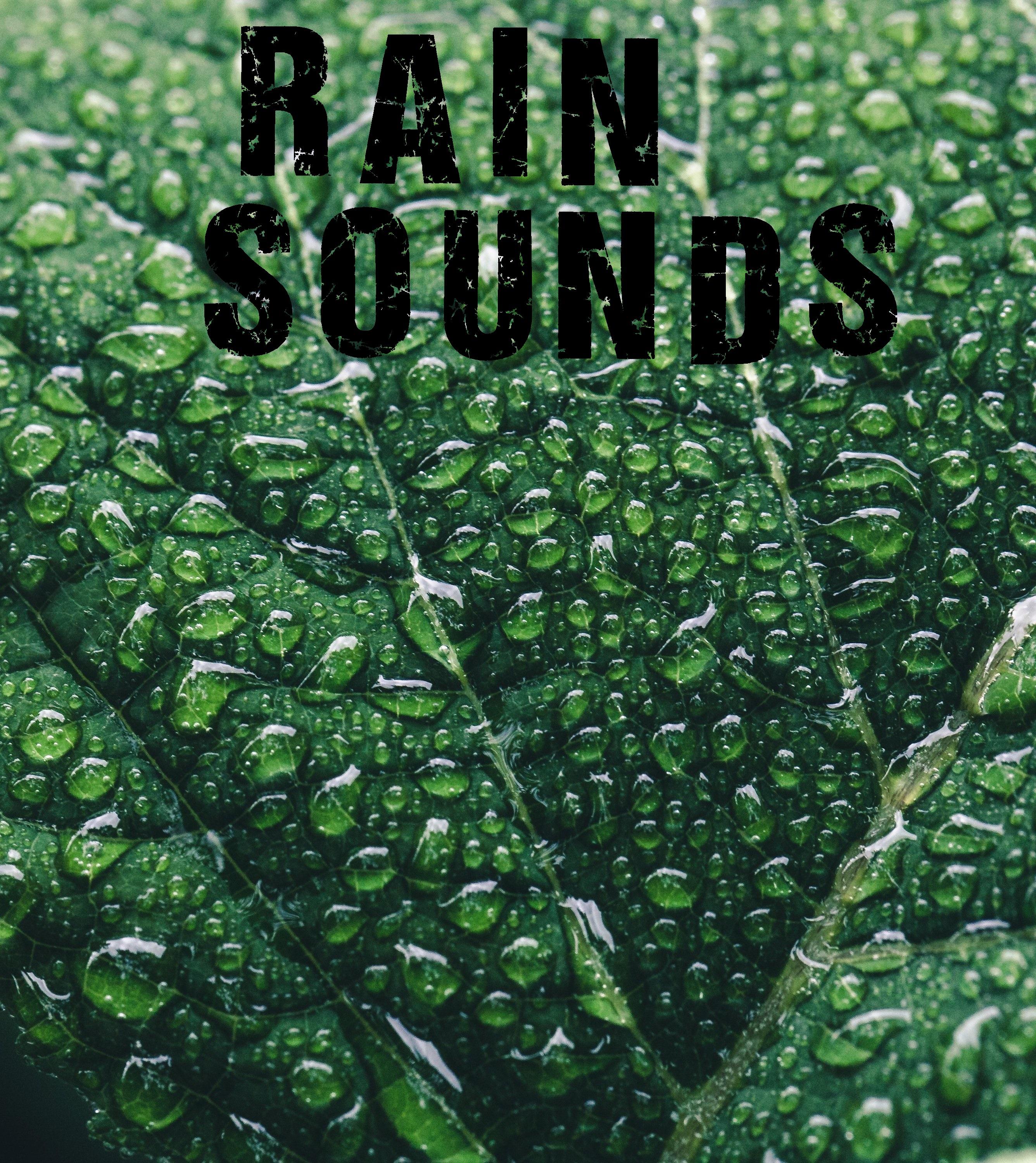 25 Natural Rain Sounds