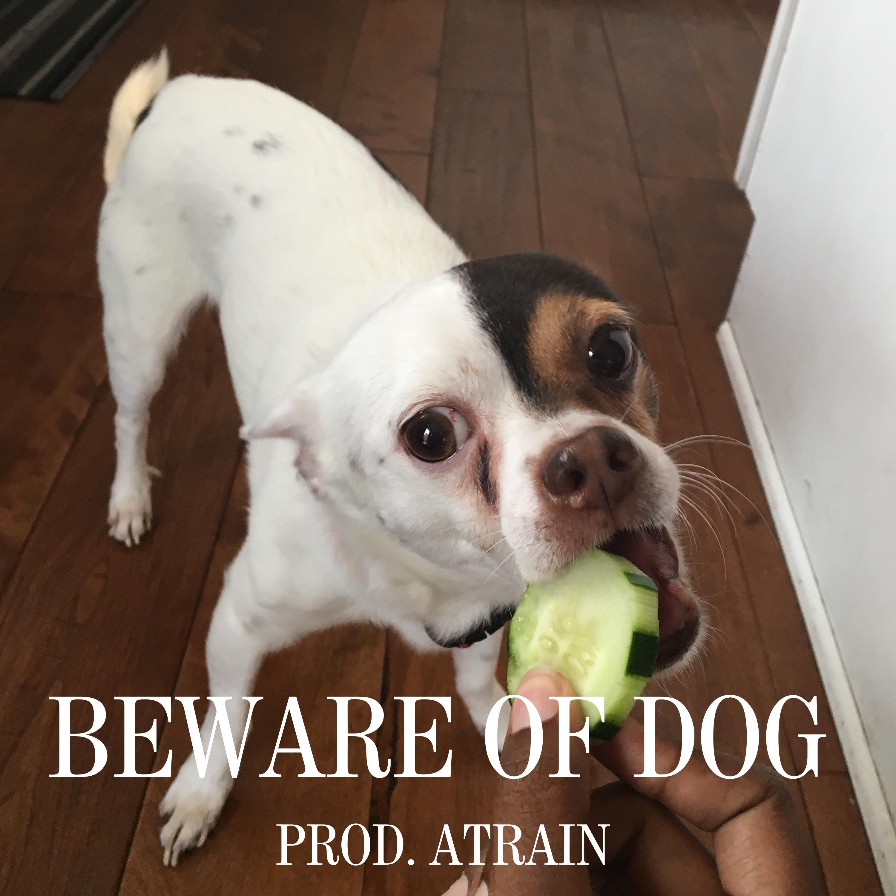 BEWARE OF DOG