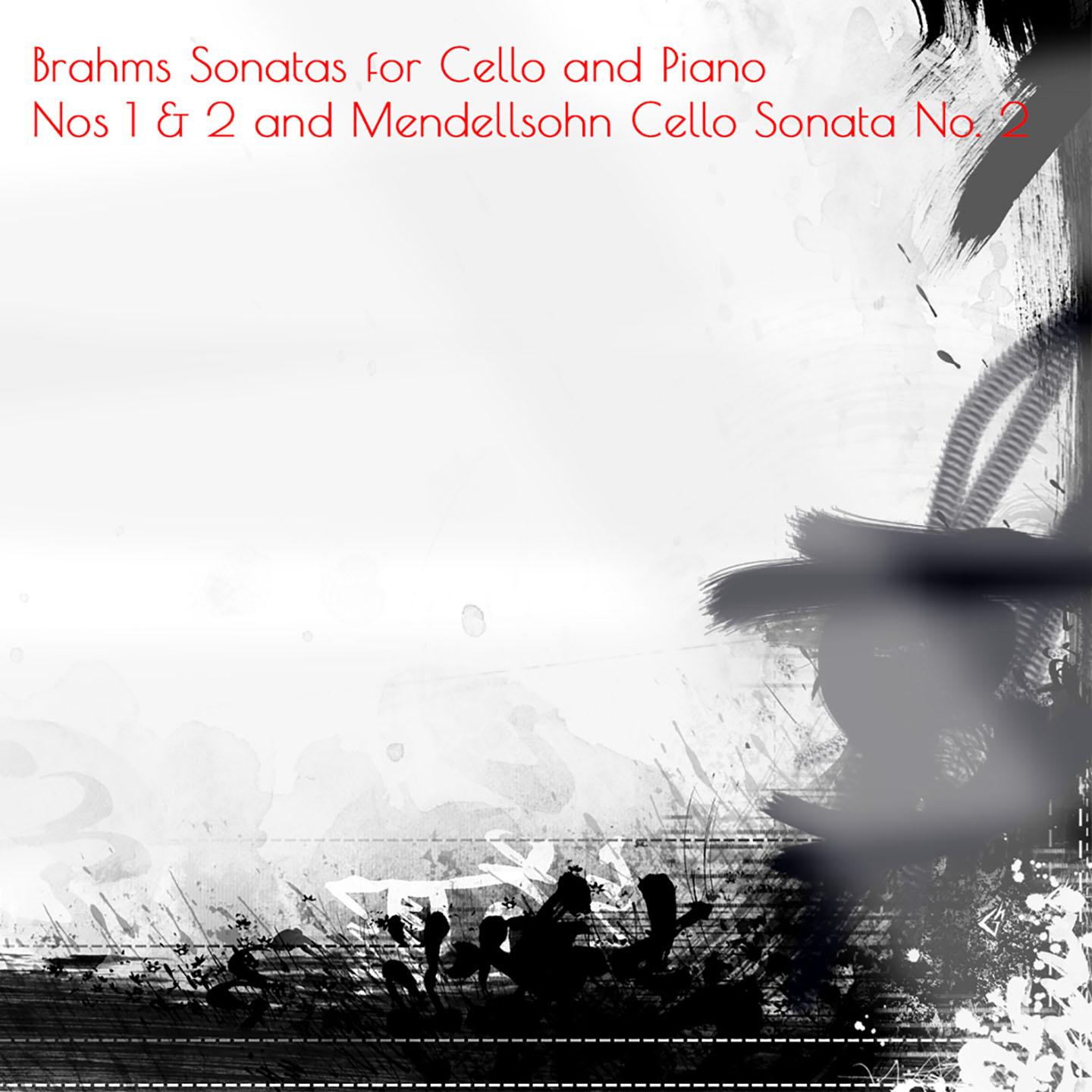 Sonata for Cello and Piano No. 1 in E Minor, Op. 38: I. Allegro non troppo