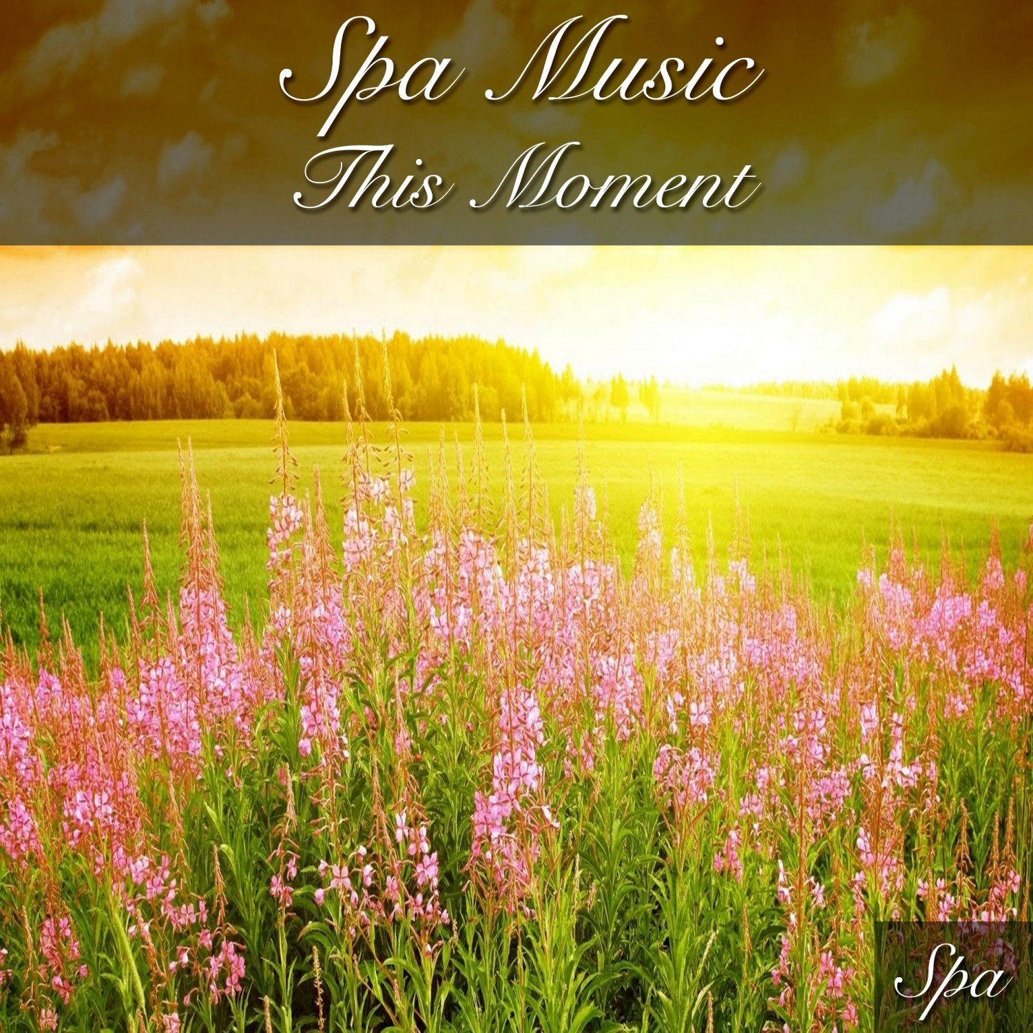 Spa Music This Moment
