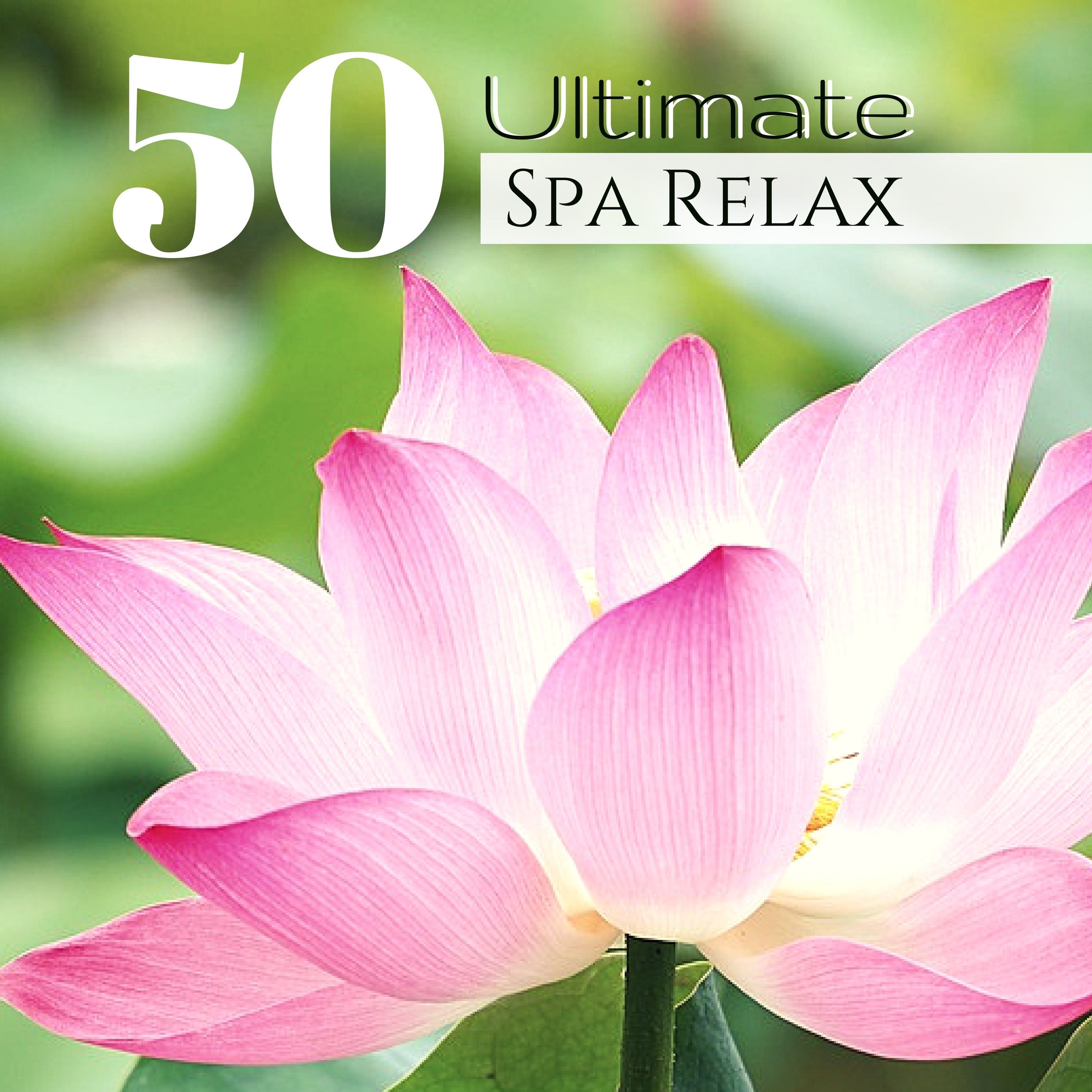 50 Ultimate Spa Relax - Zen Lotus Garden Meditation Music Collection