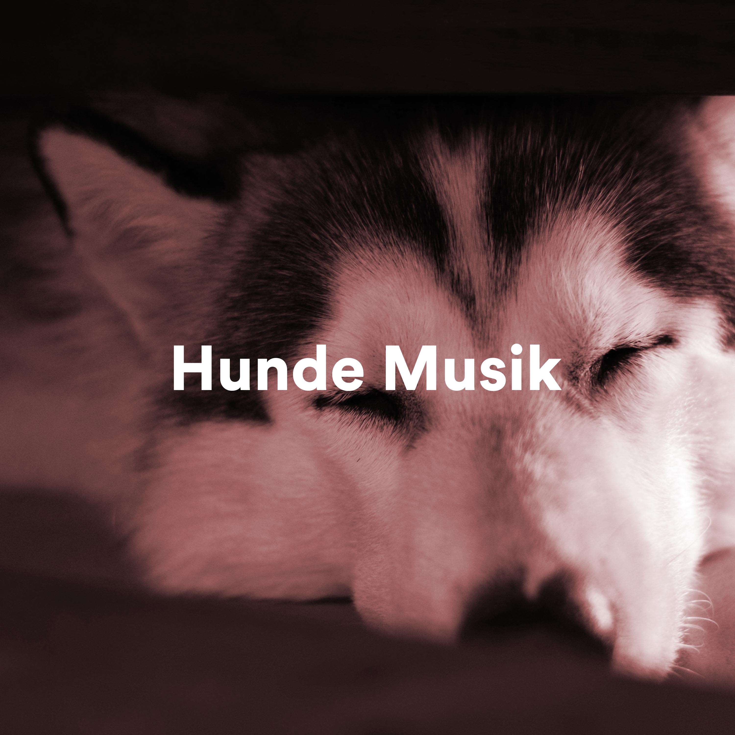 Musik zum Einschlafen