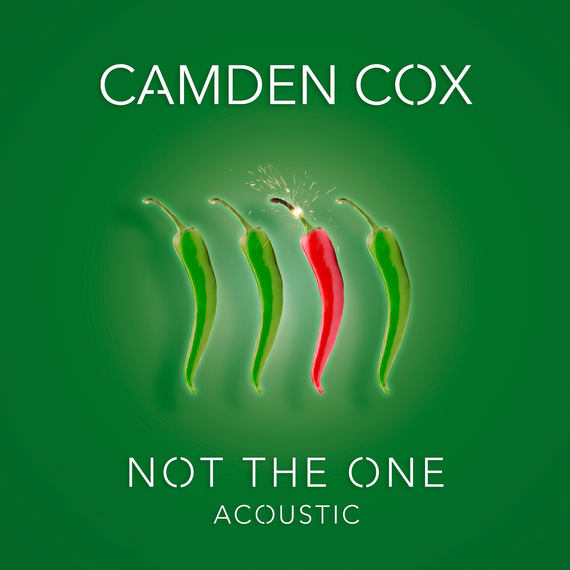 Not the One (Acoustic)