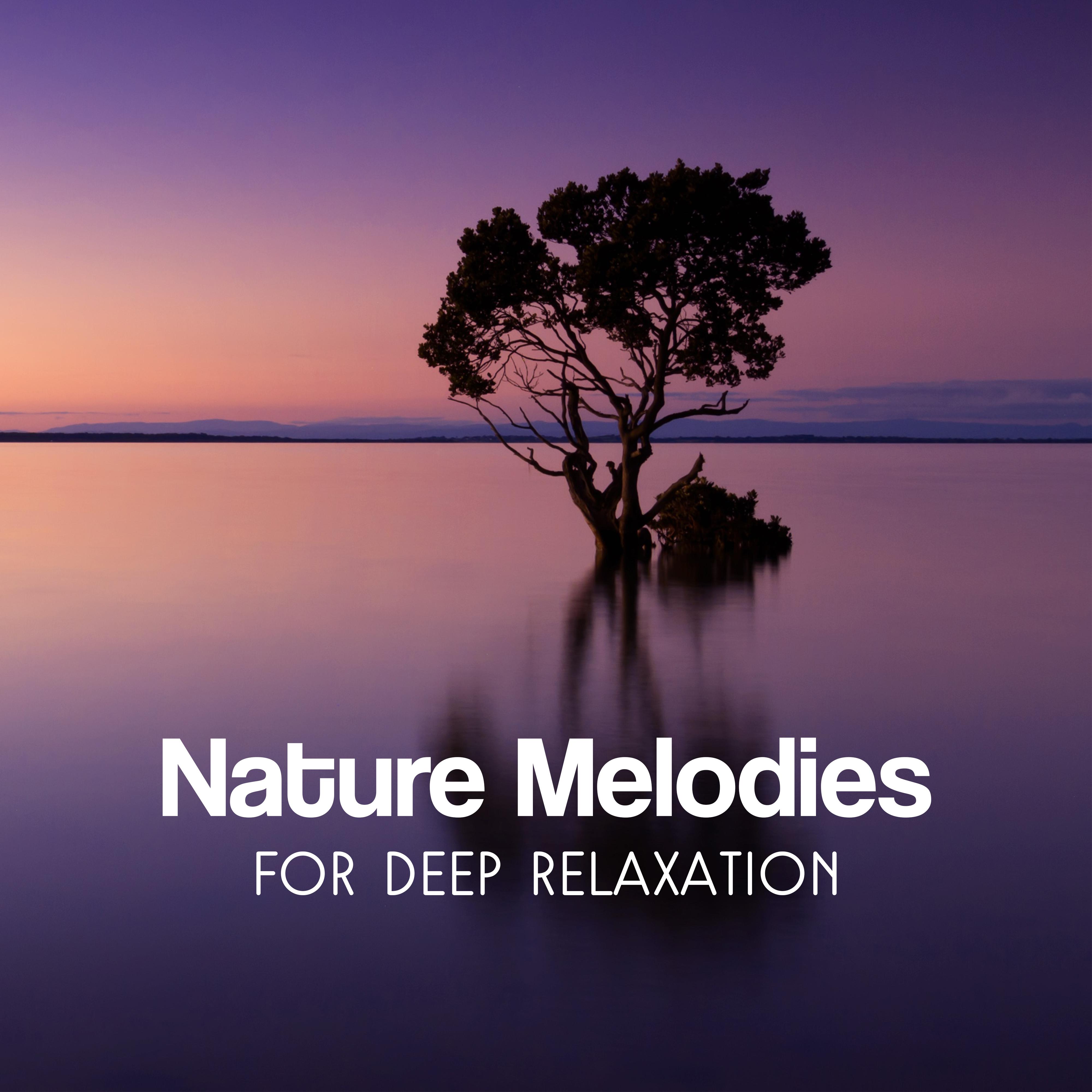 Nature Melodies for Deep Relaxation