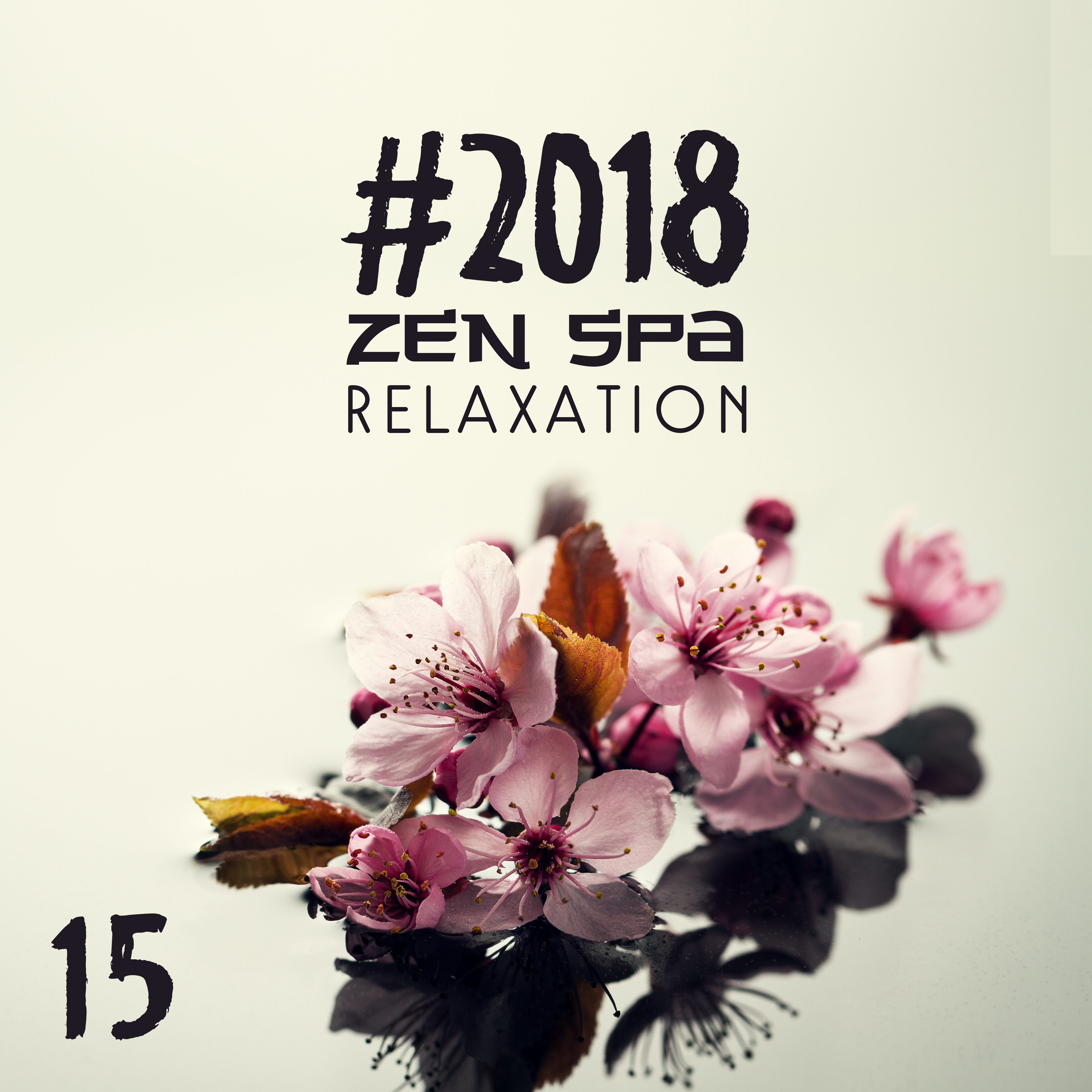 #2018 Zen Spa Relaxation 15