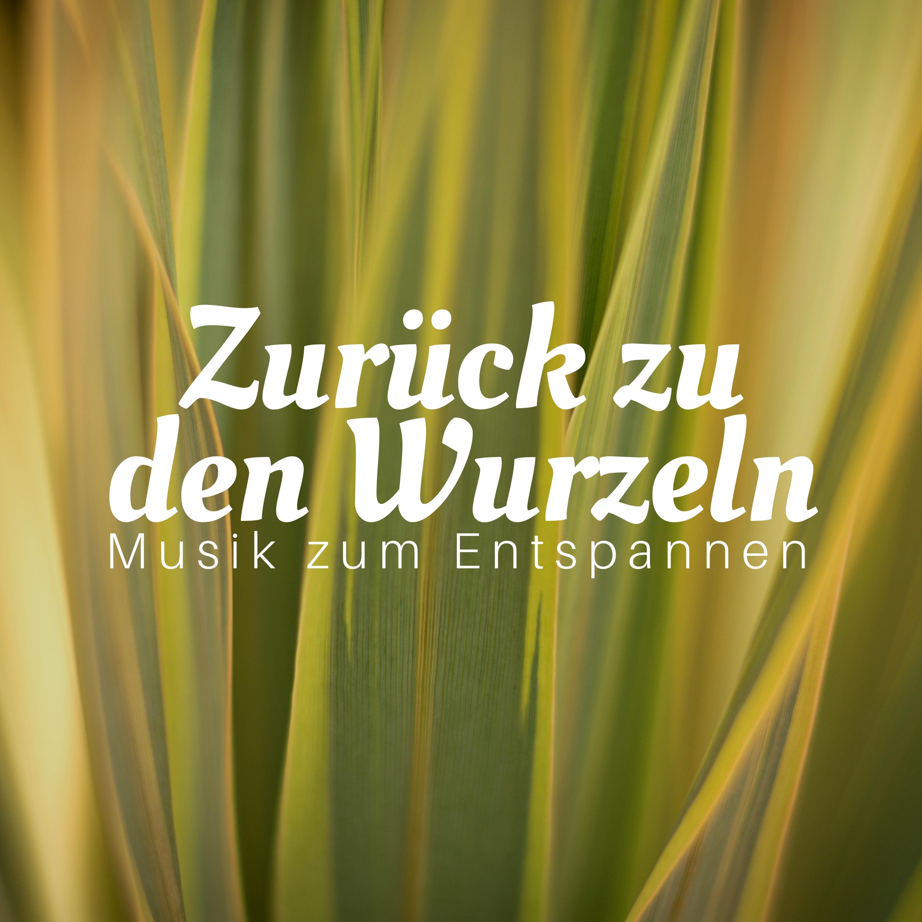 Waldbach und Musik zur Entspannung