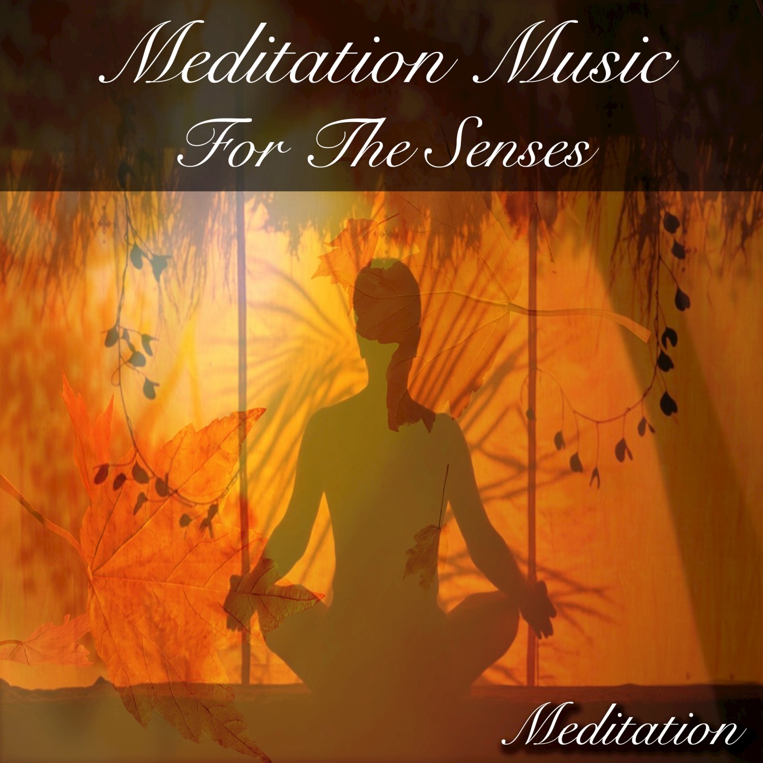 Meditation Music for the Senses