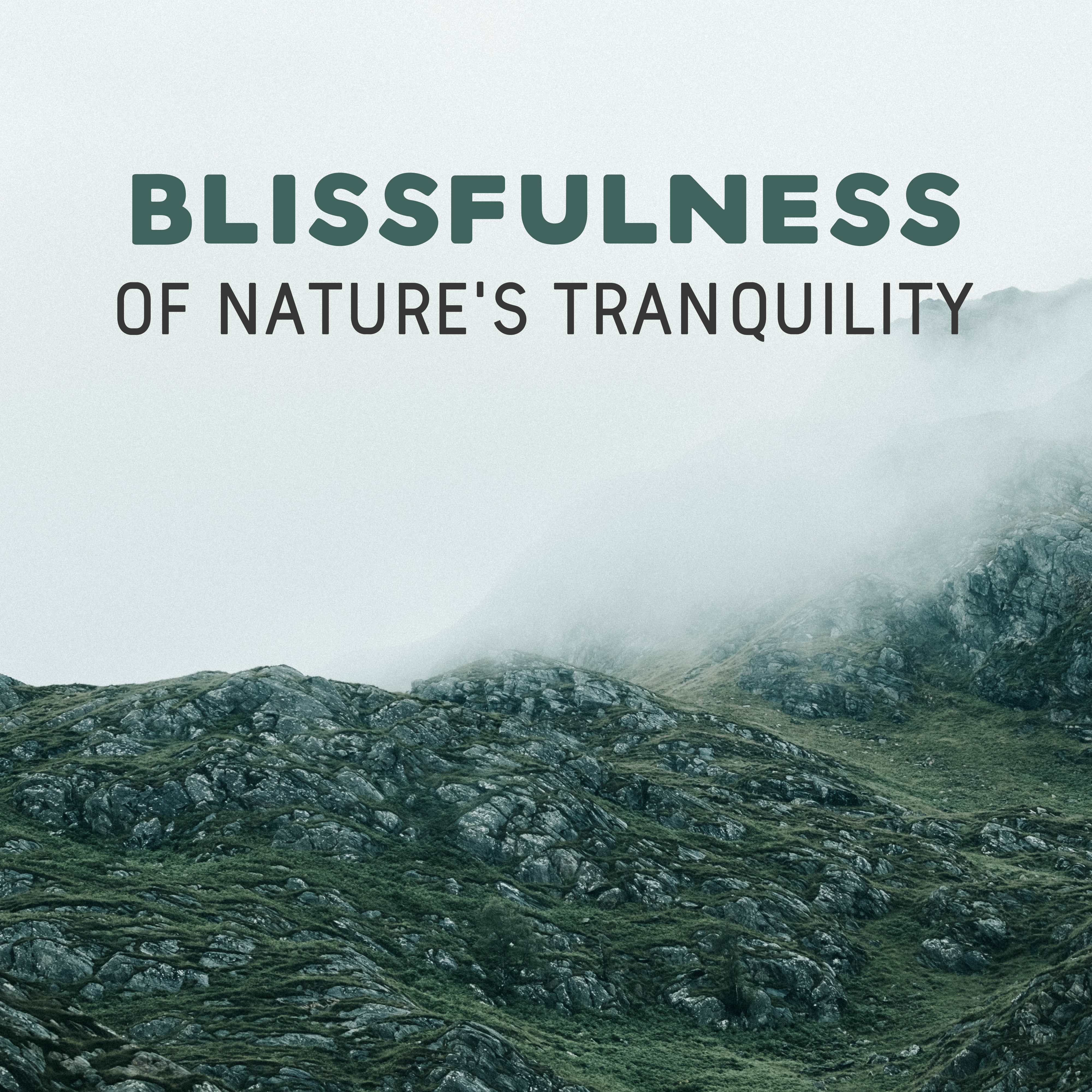 Blissfulness of Nature's Tranquility