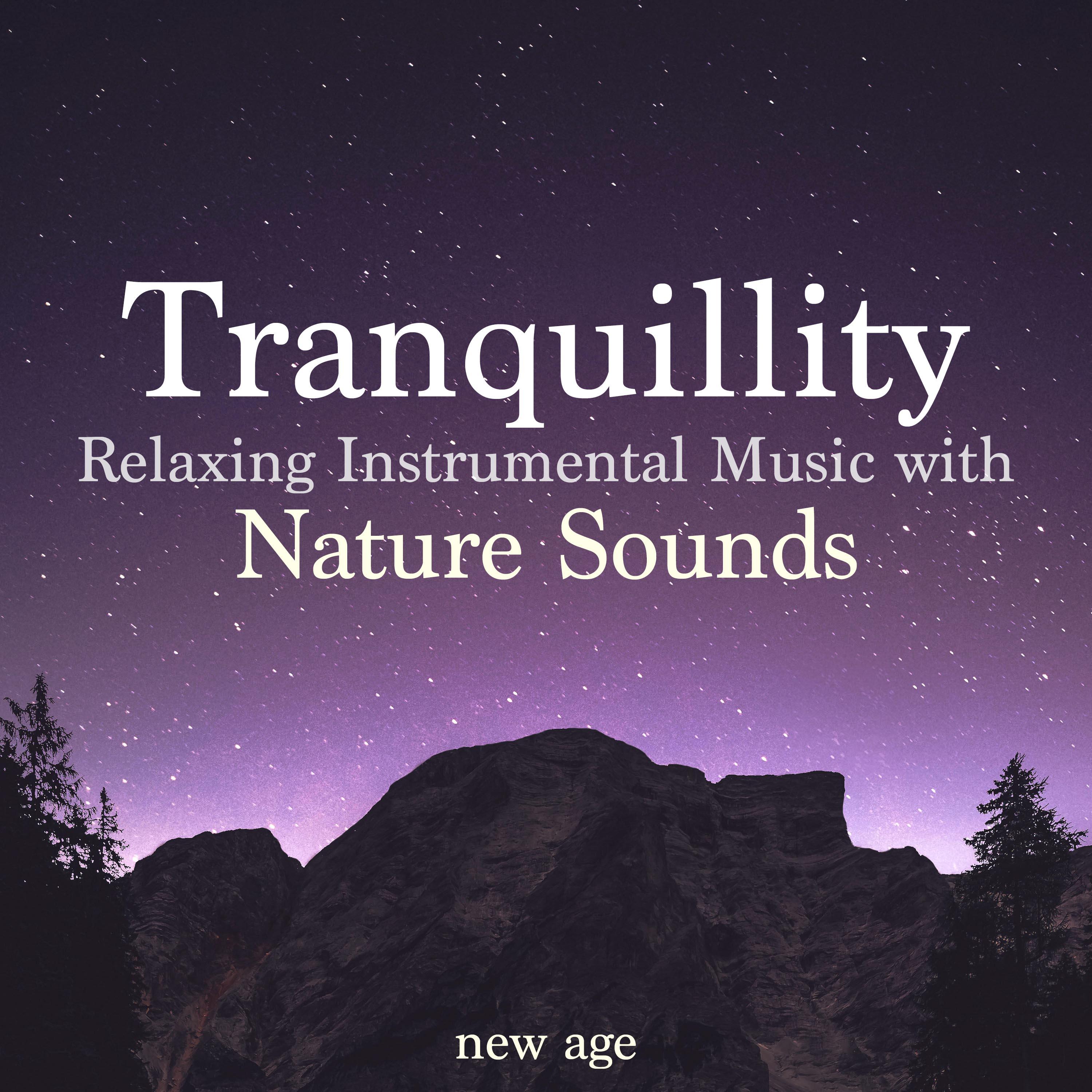Tranquillity: Relaxing Instrumental Music with Nature Sounds
