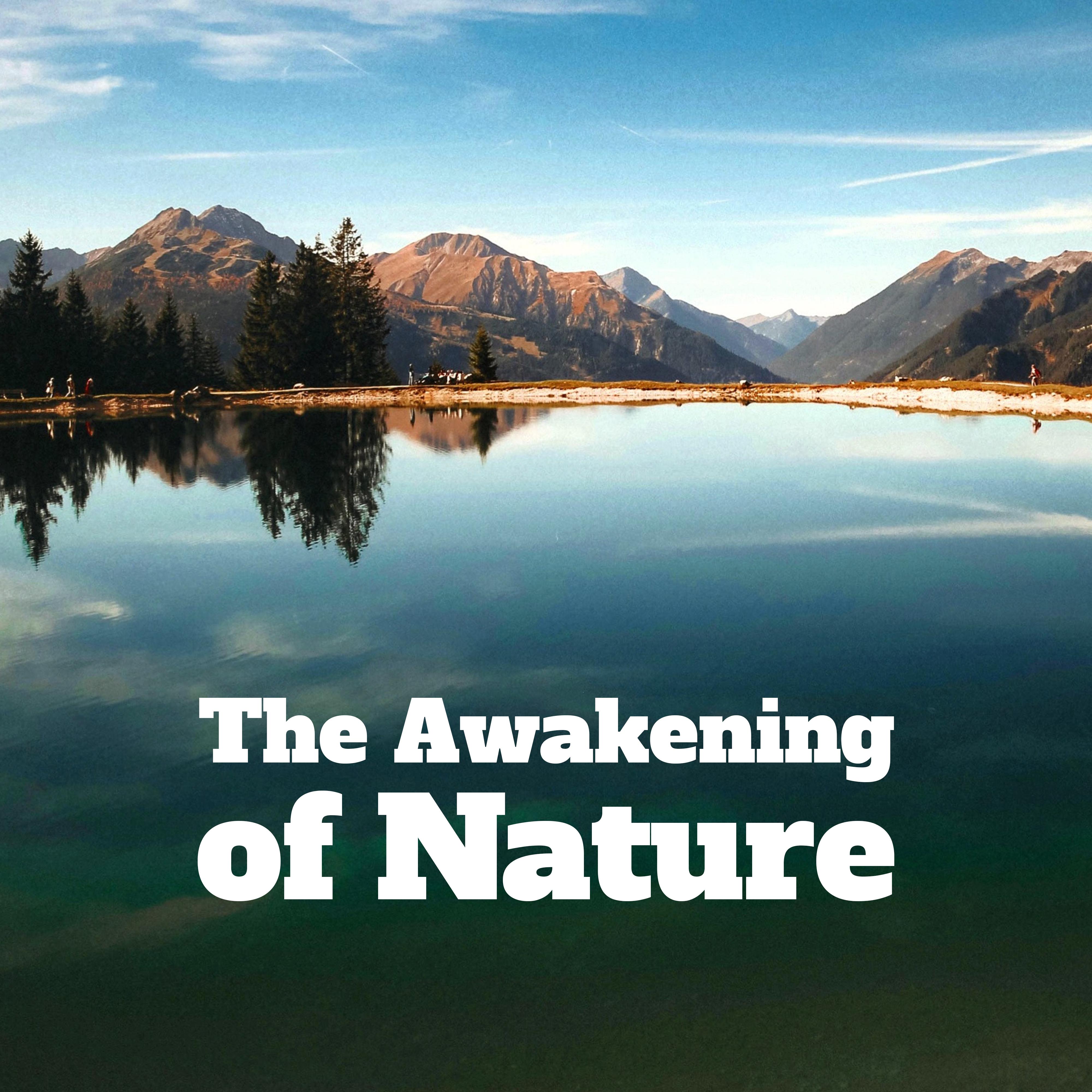 The Awakening of Nature