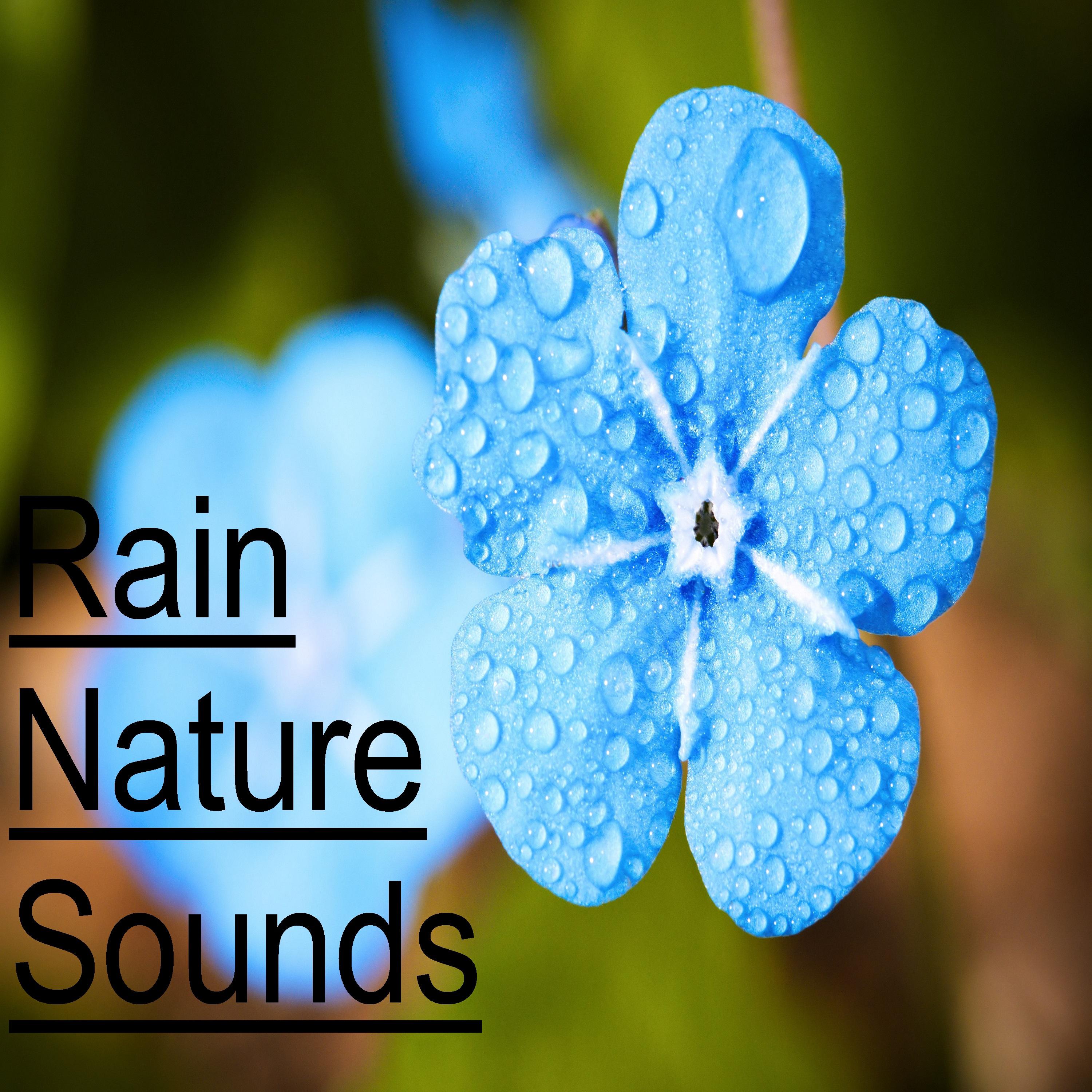 15 Relaxing Rain and Nature Sounds - Yoga, Meditation and Sleep