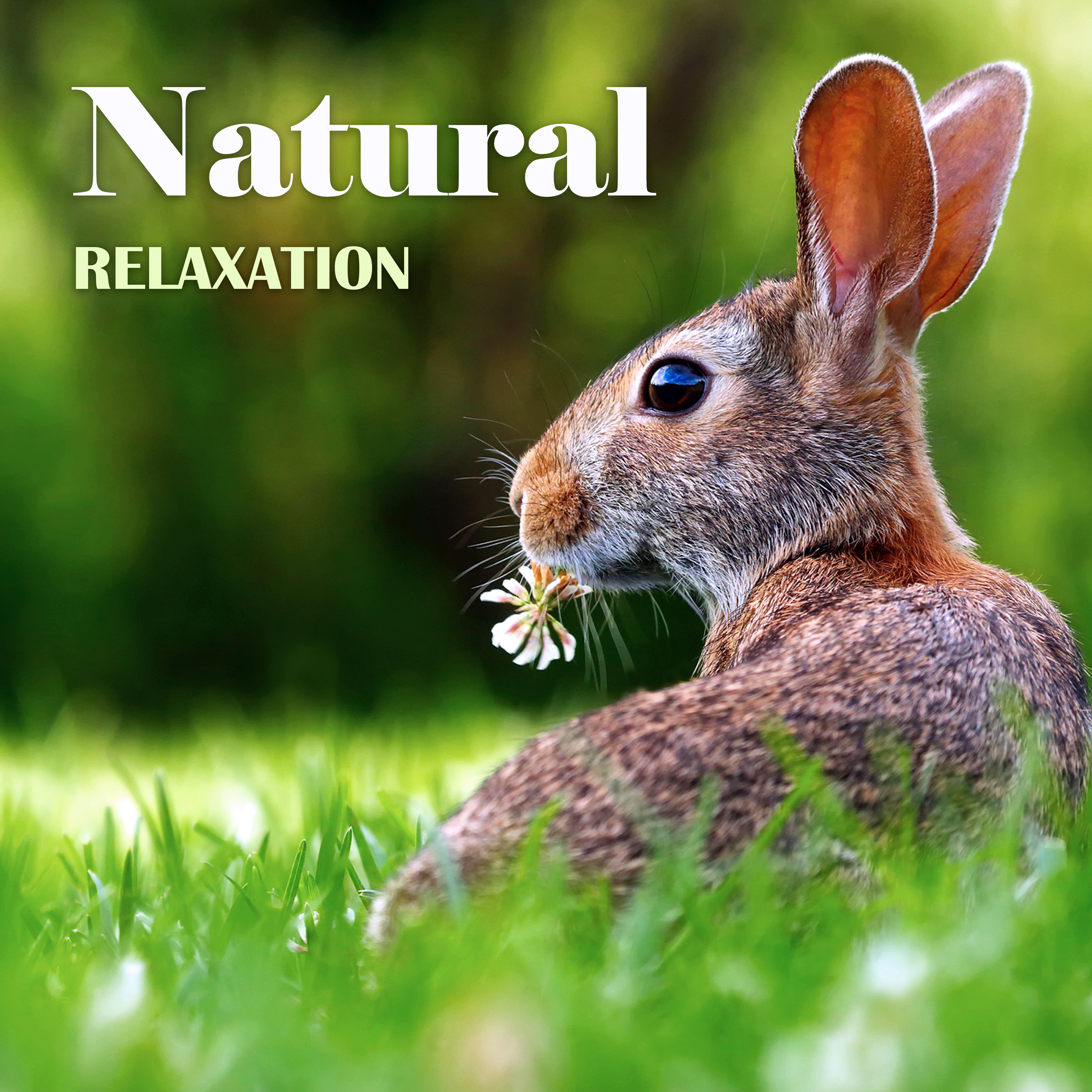 Natural Relaxation