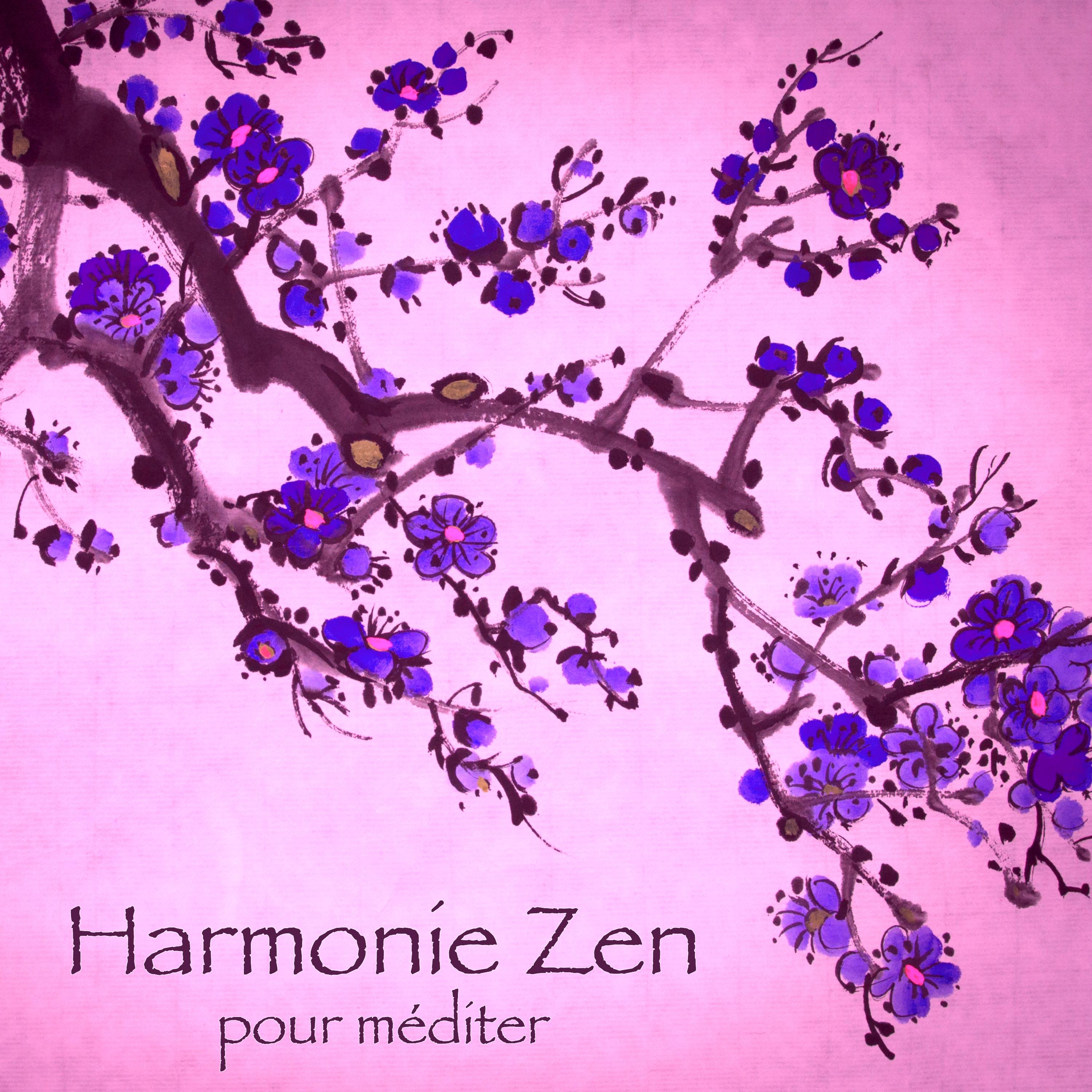 Harmonie zen pour méditer – Musique relaxante de bien-être et feng shui dans votre espace zen pour yoga et méditation